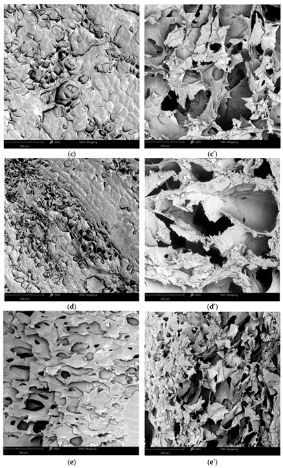 Fermentation 08 00659 g002b