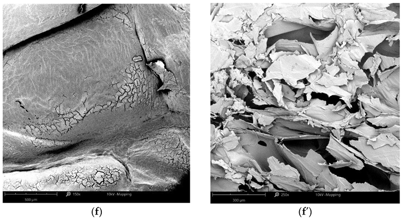 Fermentation 08 00659 g002c