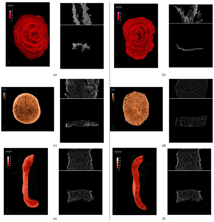 Fermentation 08 00659 g004
