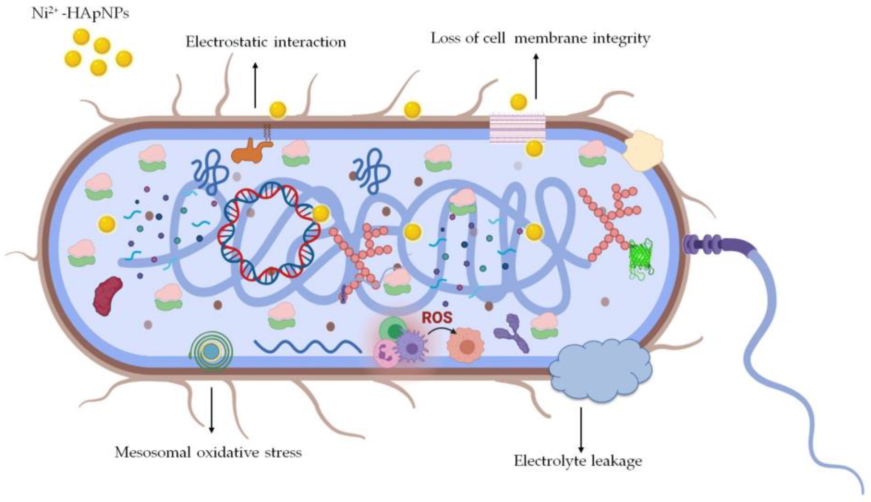 Fermentation 08 00677 g008 Fermentation 08 00677 g008