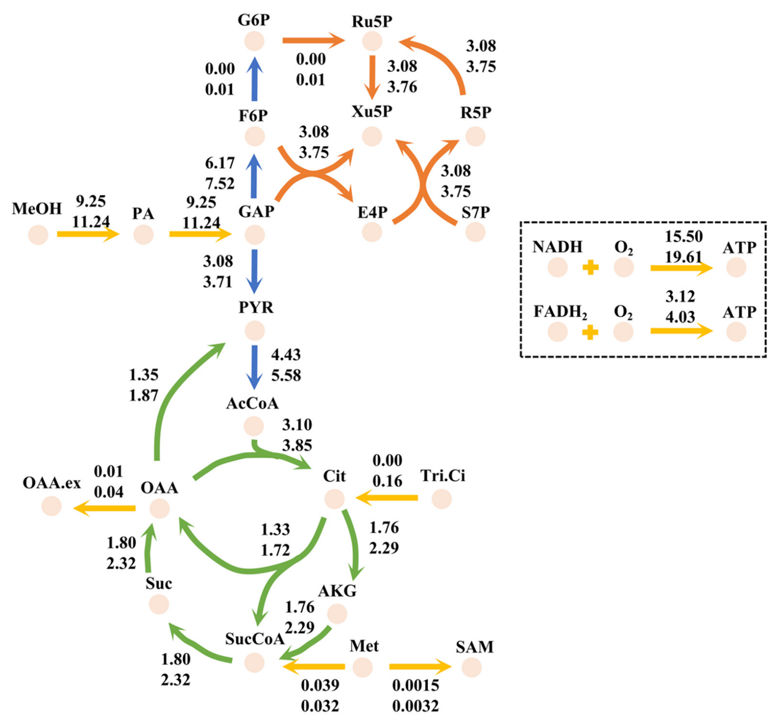 Fermentation | Free Full-Text | Untargeted Metabolomics Combined With ...