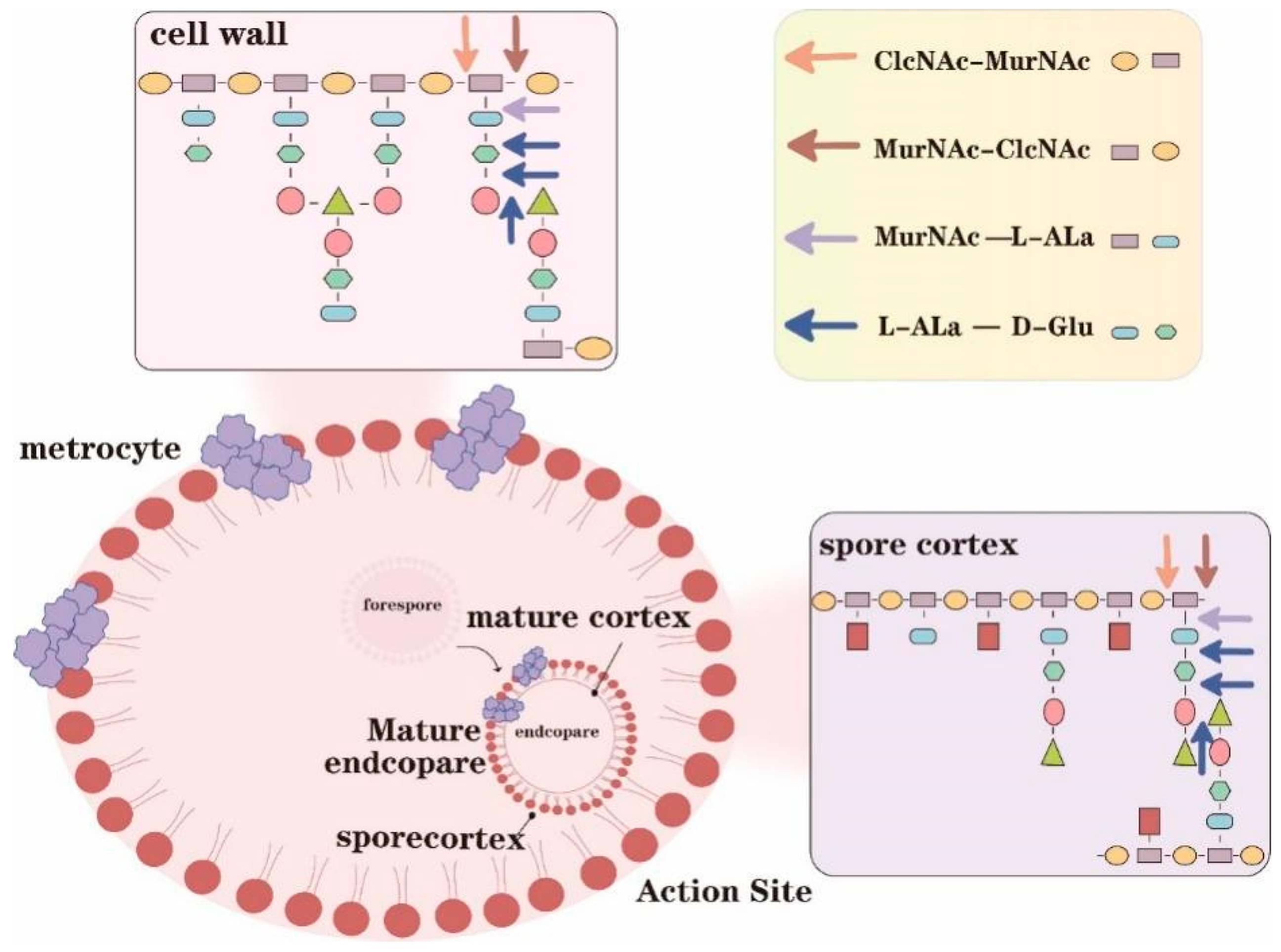 Fermentation 08 00685 g002 Fermentation 08 00685 g002