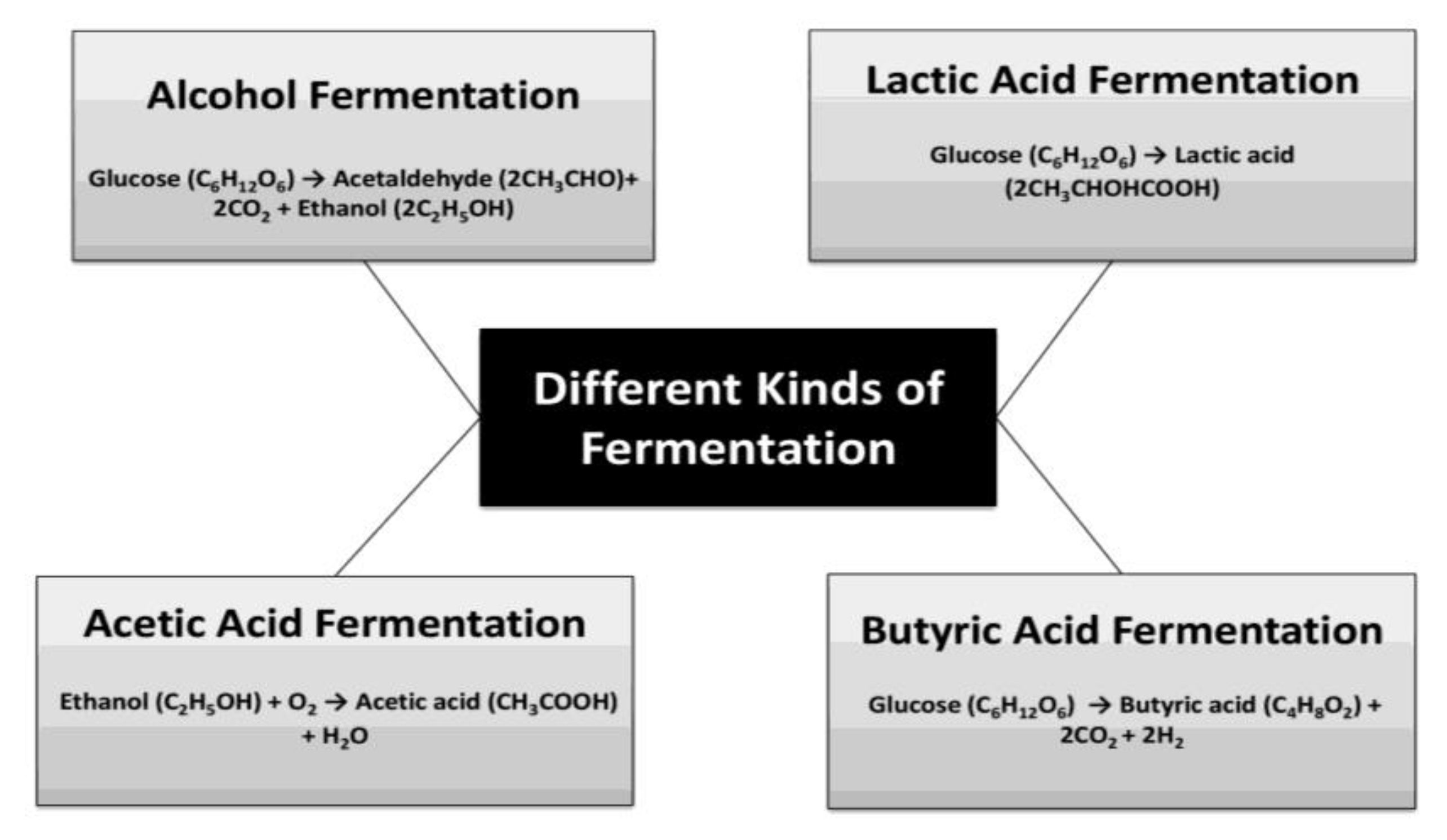 Fermentation | Free Full-Text | Research Progress of Fermented 