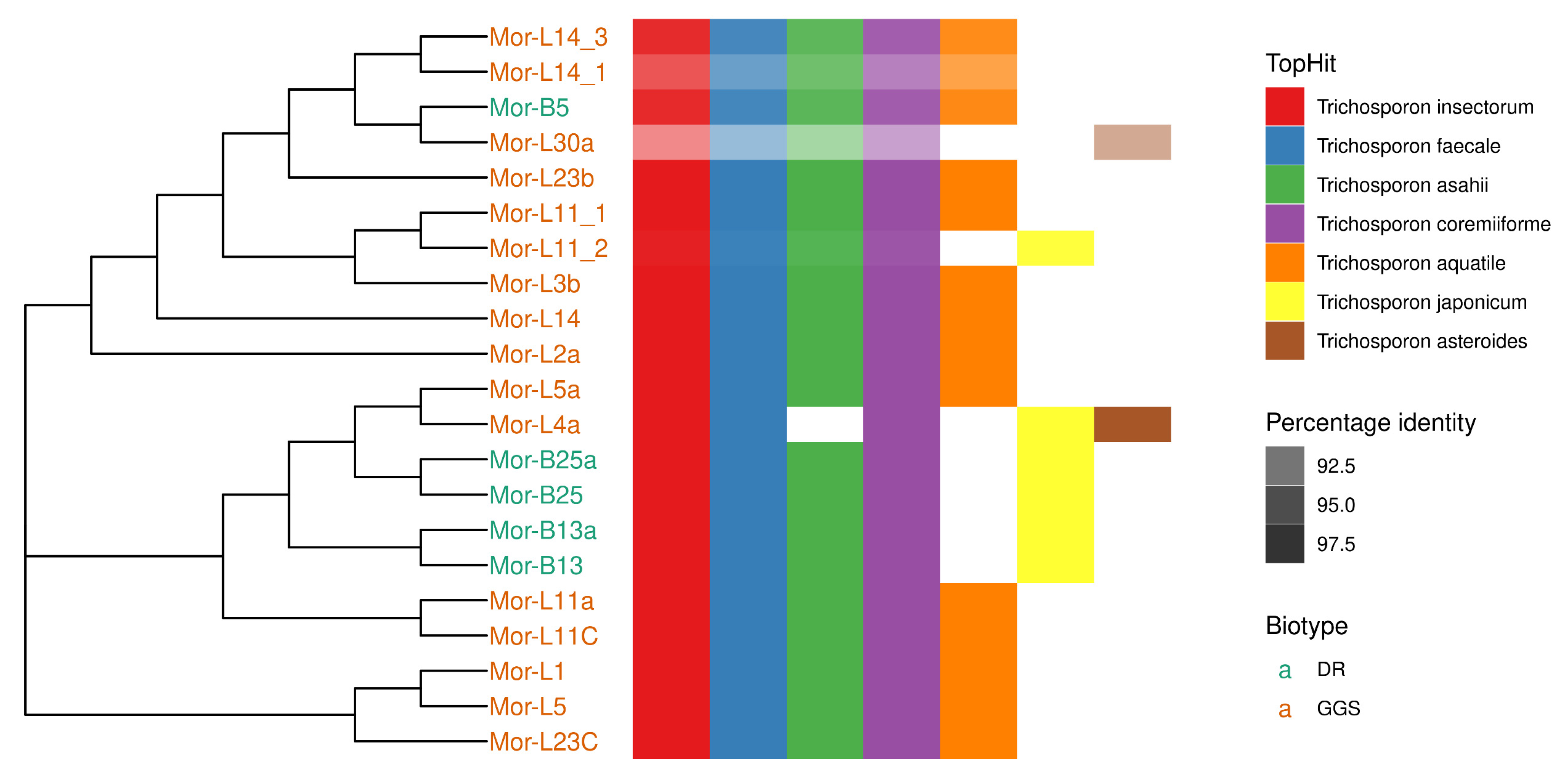 Fermentation 08 00692 g008 Fermentation 08 00692 g008