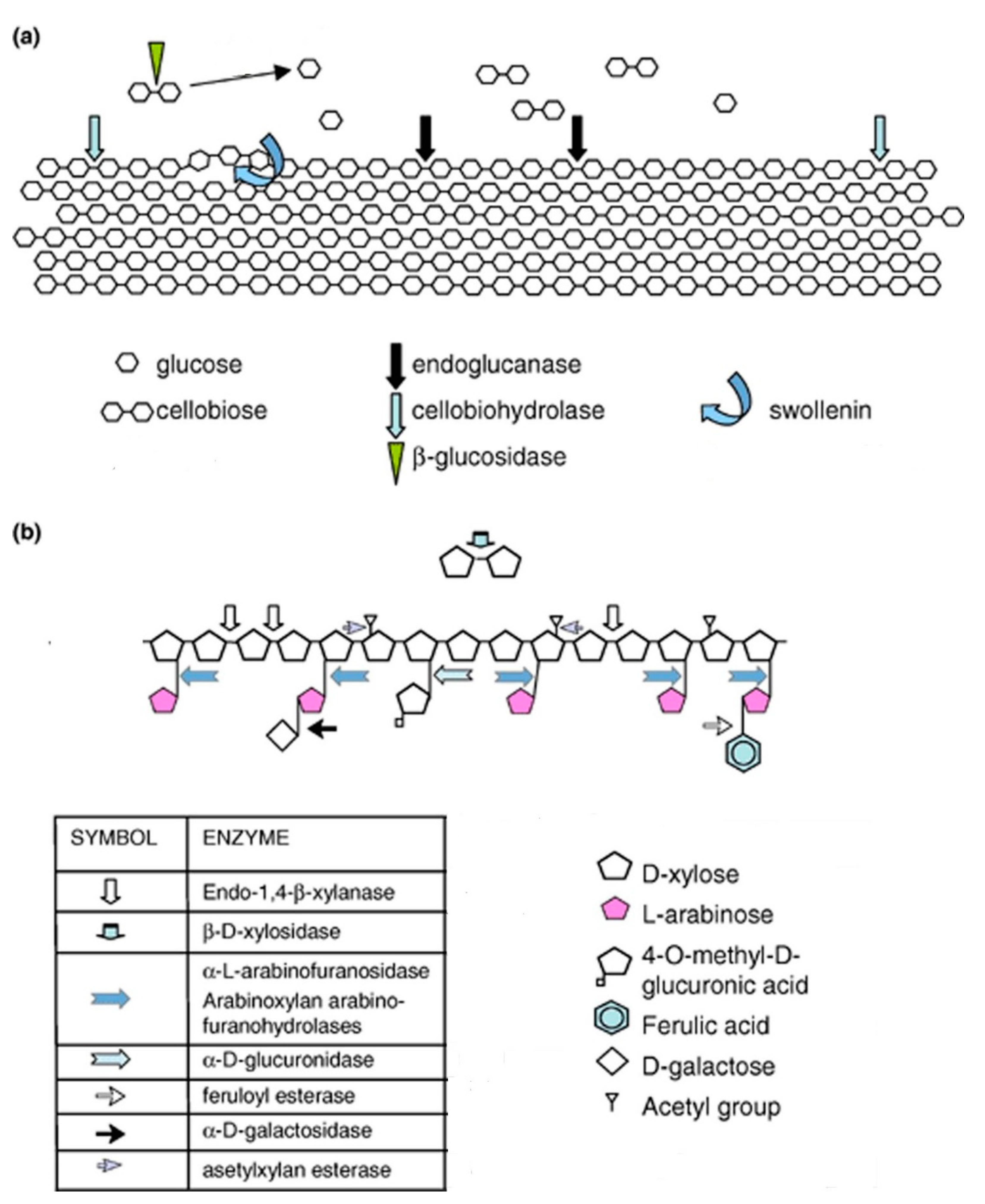 Fermentation 08 00705 g002 Fermentation 08 00705 g002