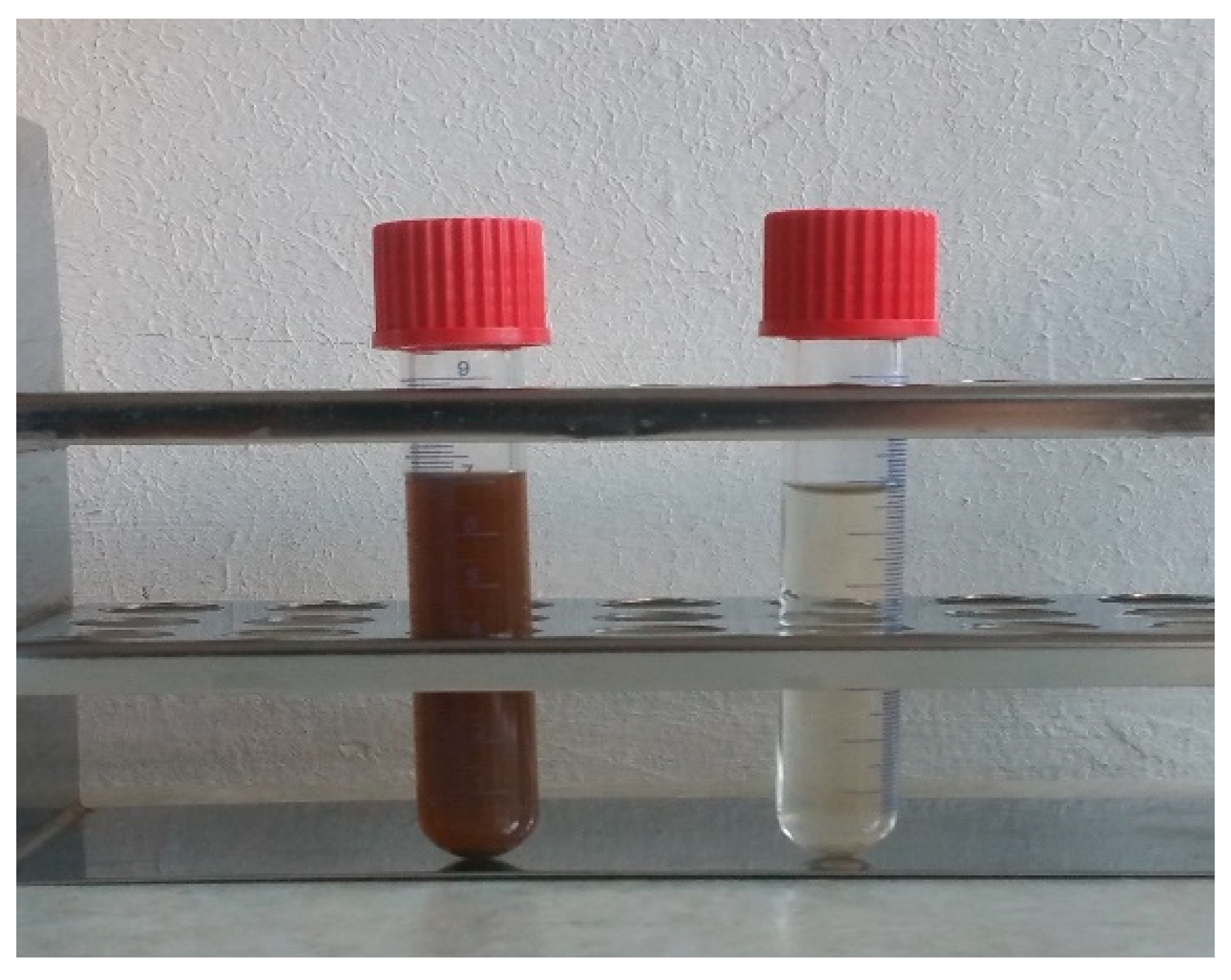 Fermentation 08 00715 g001 Fermentation 08 00715 g001