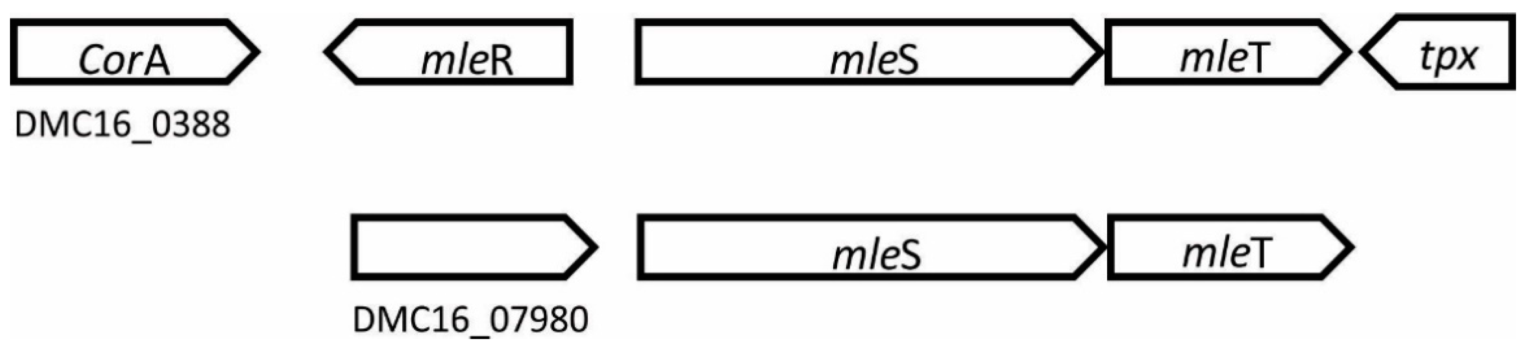 Fermentation 08 00726 g004 Fermentation 08 00726 g004