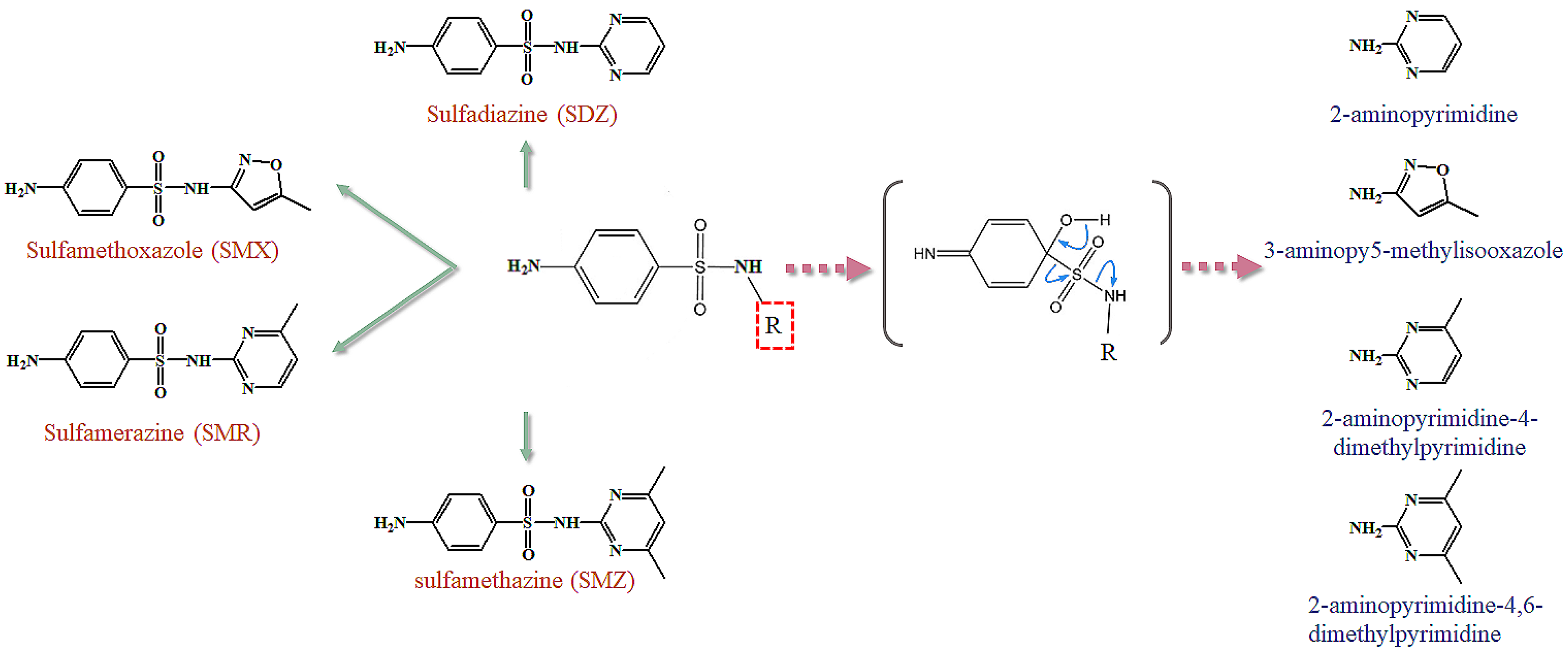 Fermentation 08 00742 g001