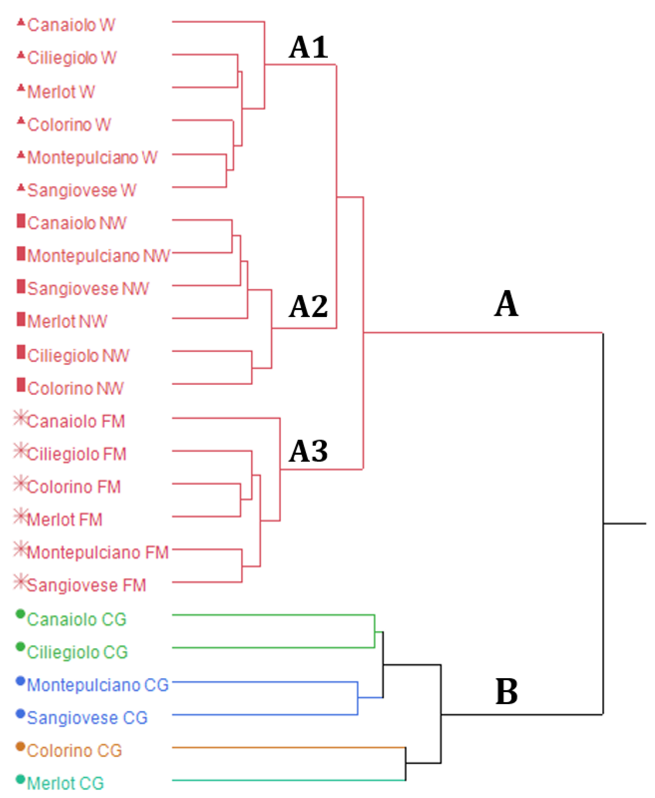 Fermentation 08 00753 g001 Fermentation 08 00753 g001