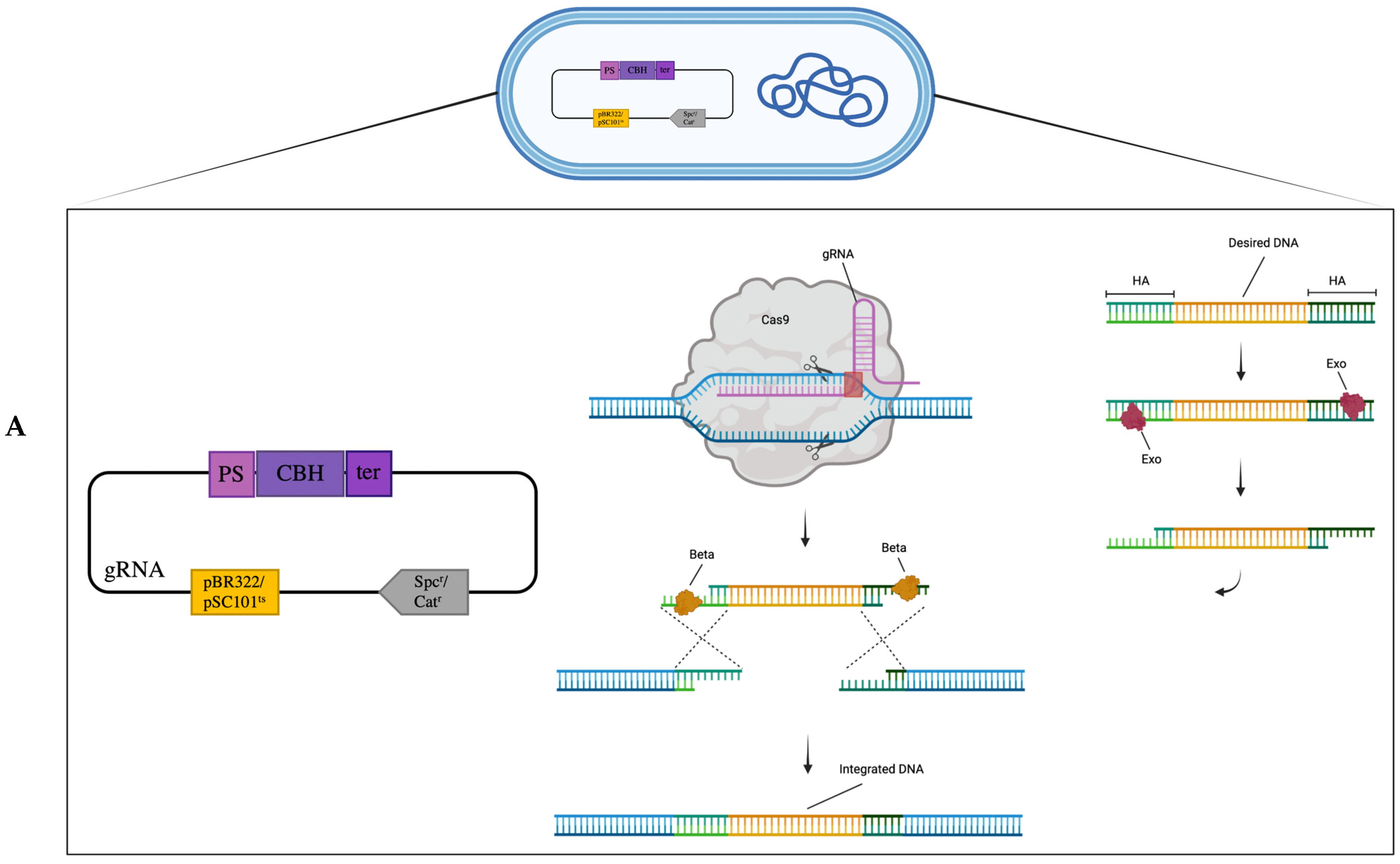 Fermentation 09 00014 g001a Fermentation 09 00014 g001a