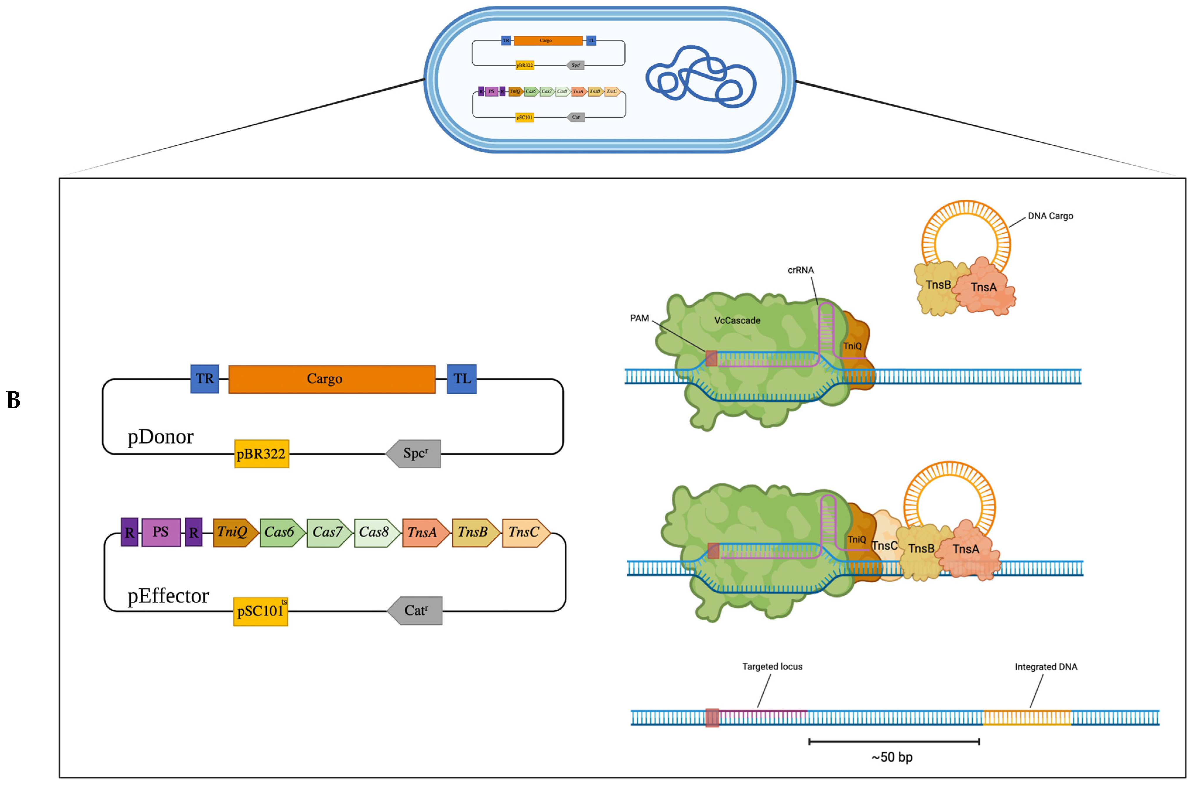 Fermentation 09 00014 g001b Fermentation 09 00014 g001b