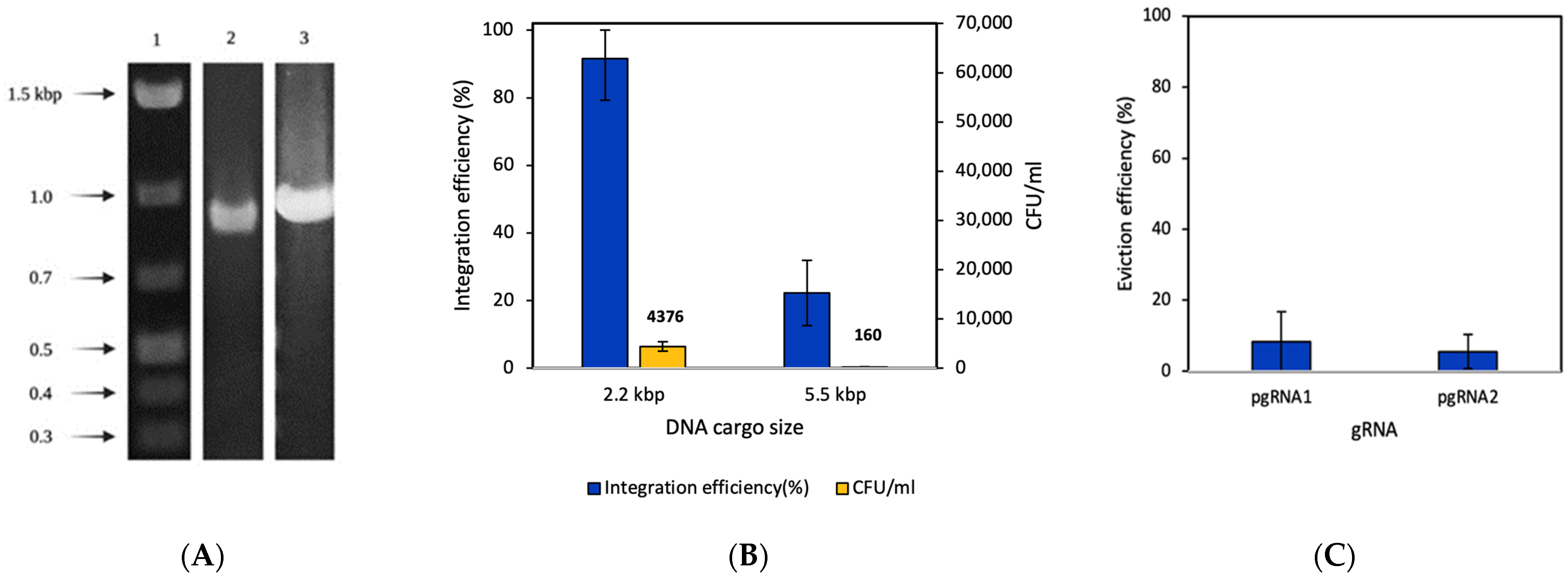 Fermentation 09 00014 g003 Fermentation 09 00014 g003