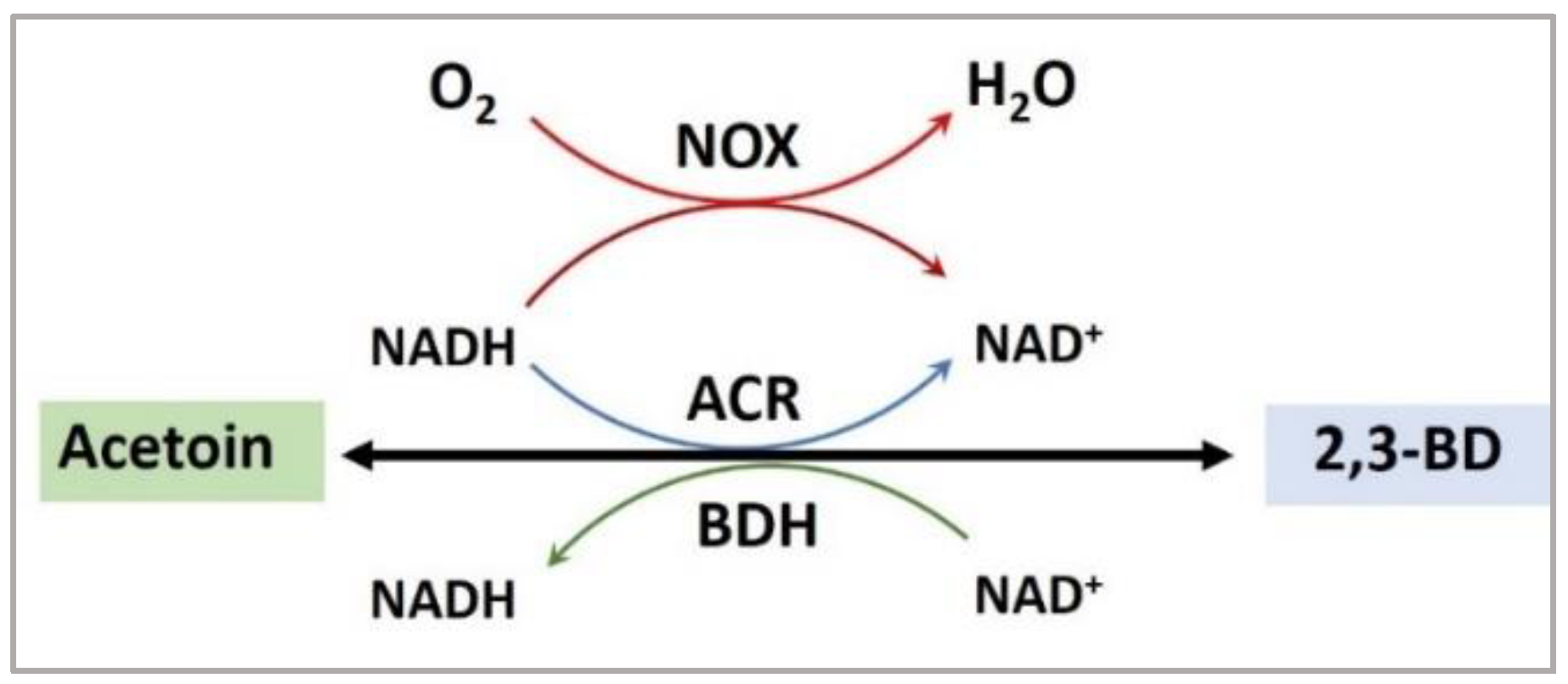 Fermentation 09 00015 g004