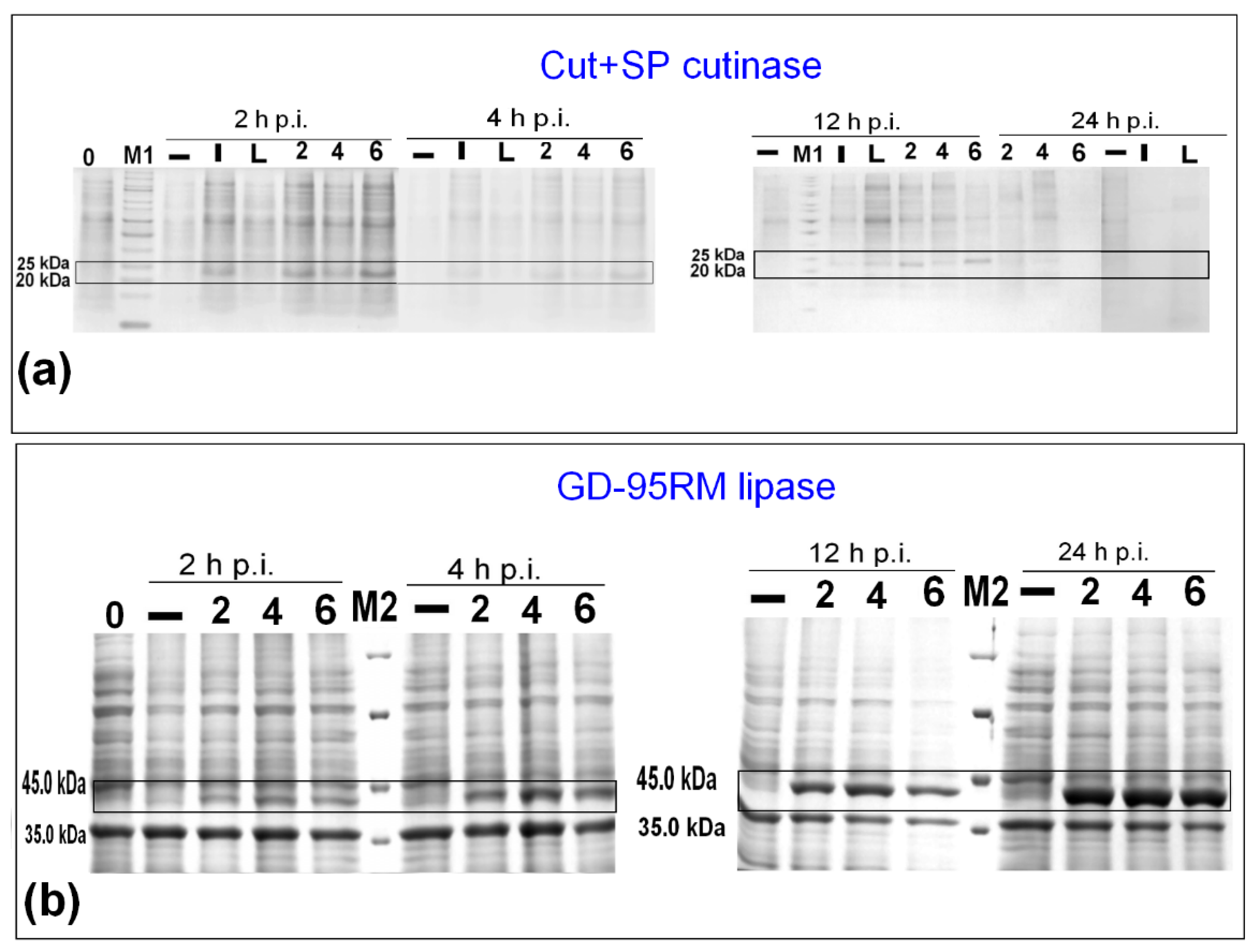 Fermentation 09 00027 g002 Fermentation 09 00027 g002