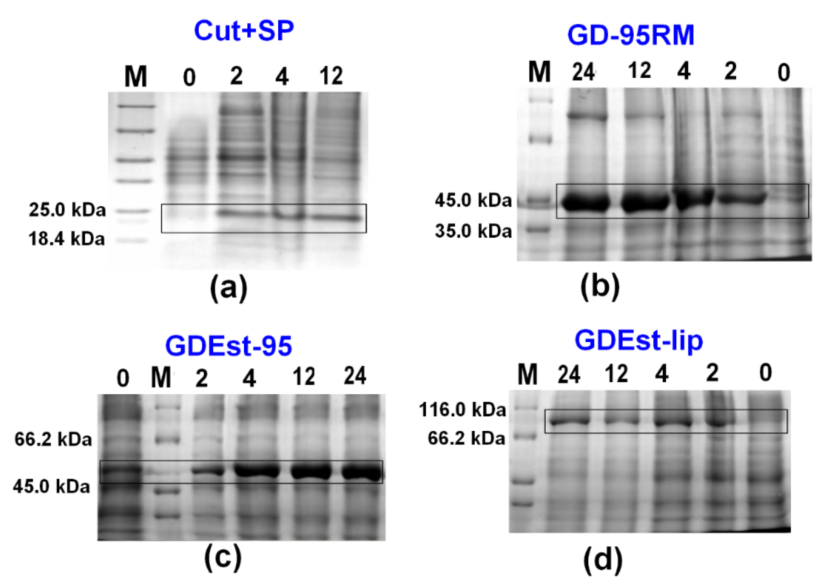 Fermentation 09 00027 g005 Fermentation 09 00027 g005