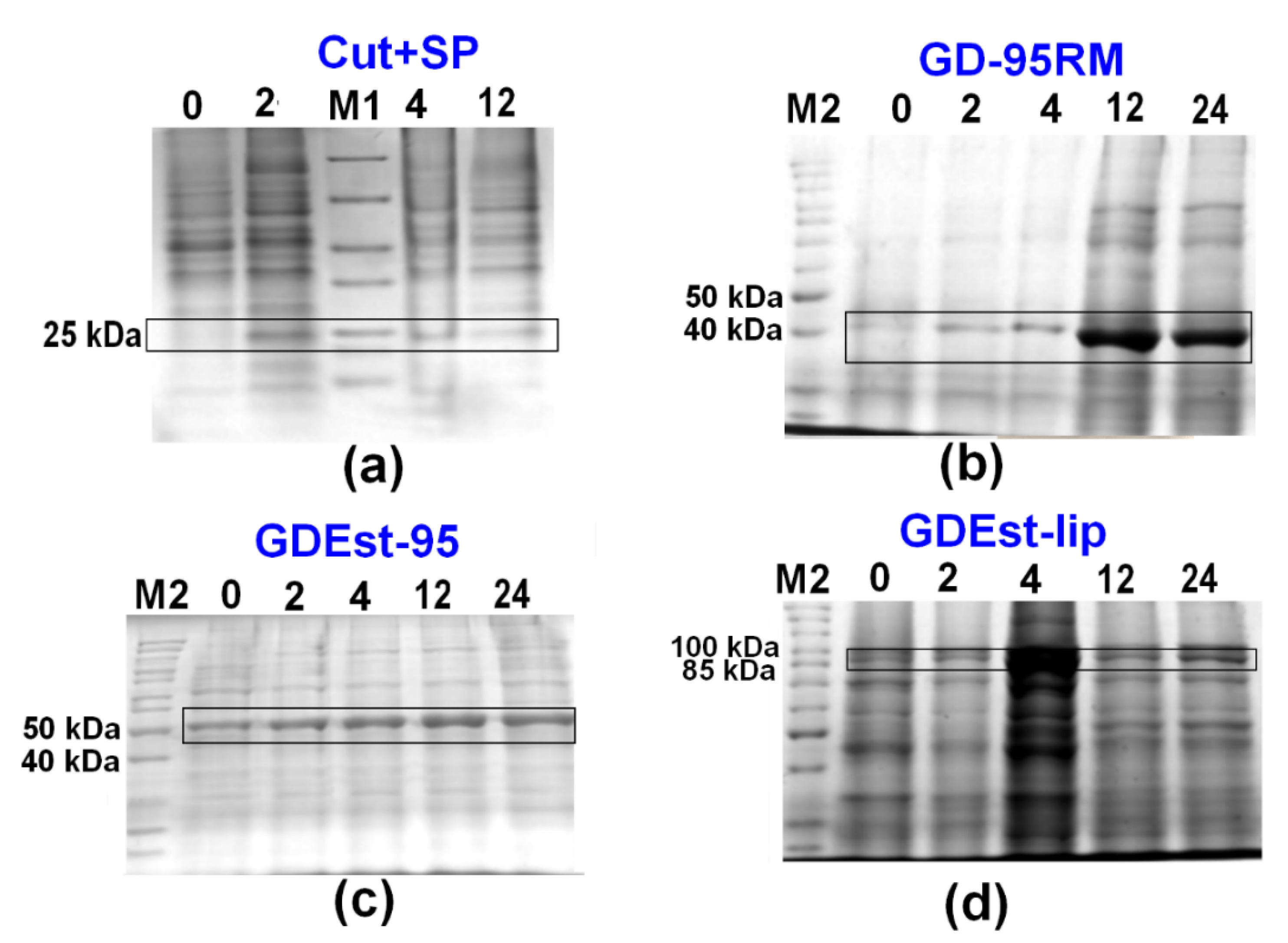 Fermentation 09 00027 g006 Fermentation 09 00027 g006