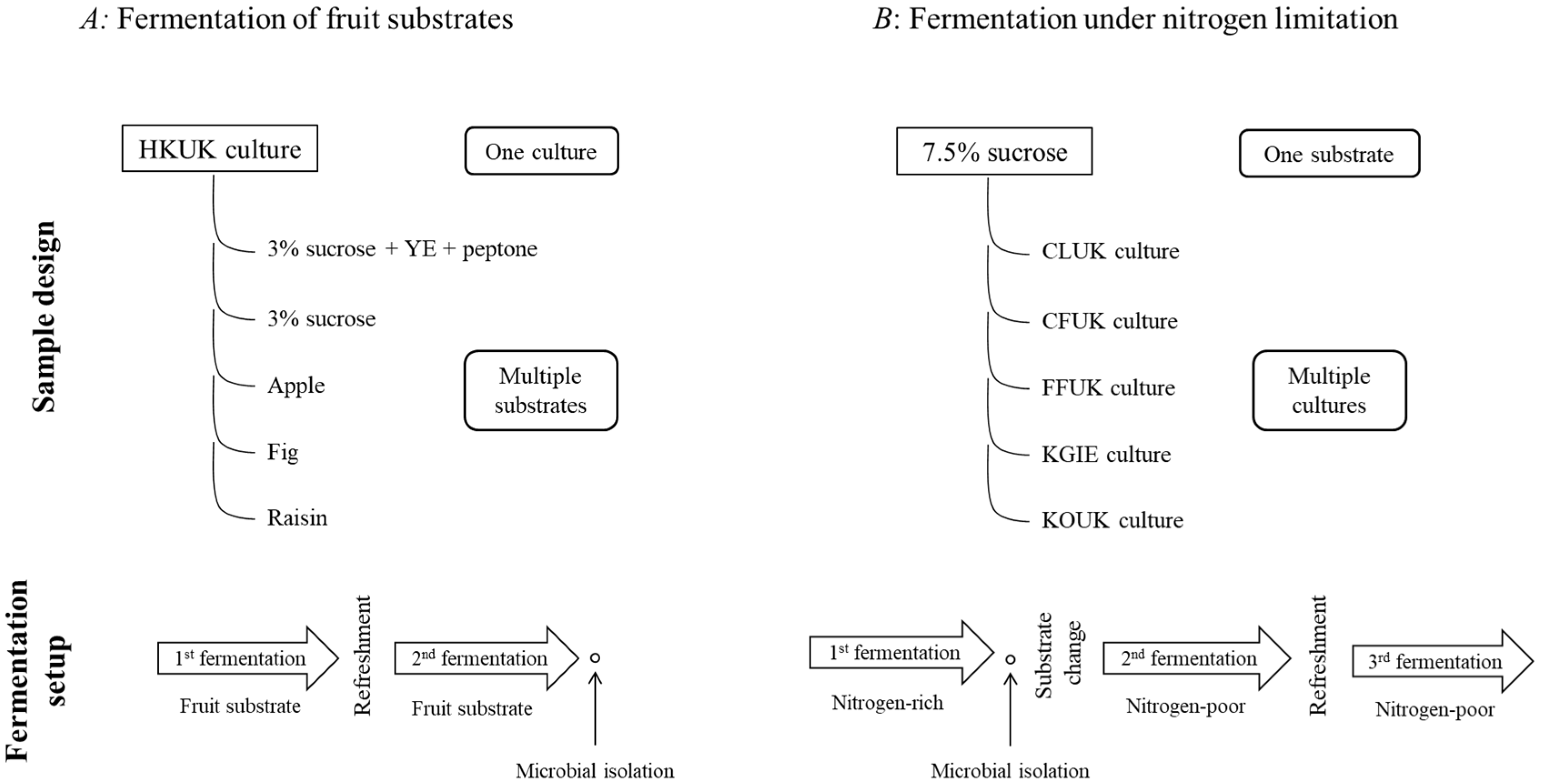 Fermentation 09 00028 g001 Fermentation 09 00028 g001