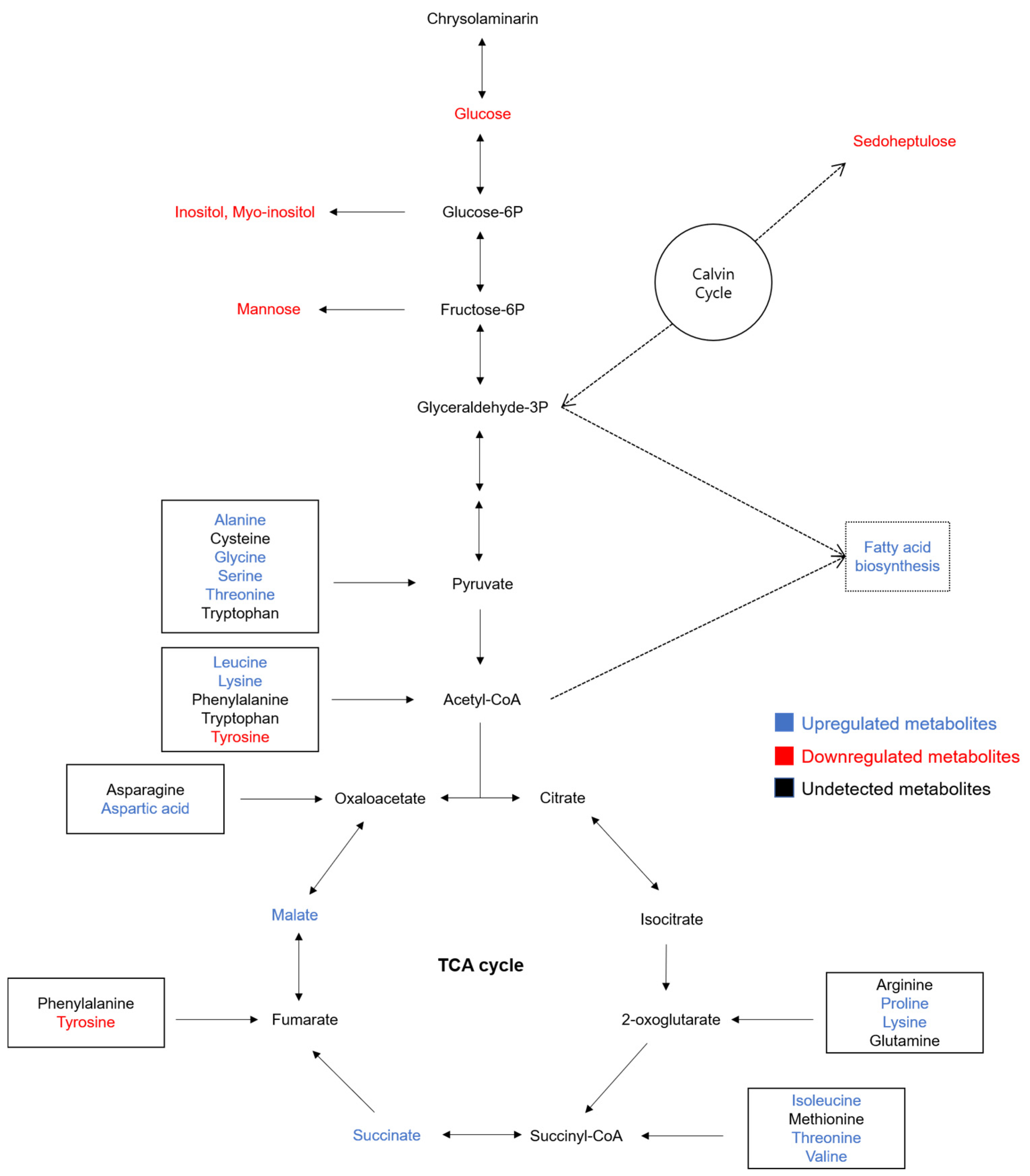 Fermentation 09 00031 g005 Fermentation 09 00031 g005