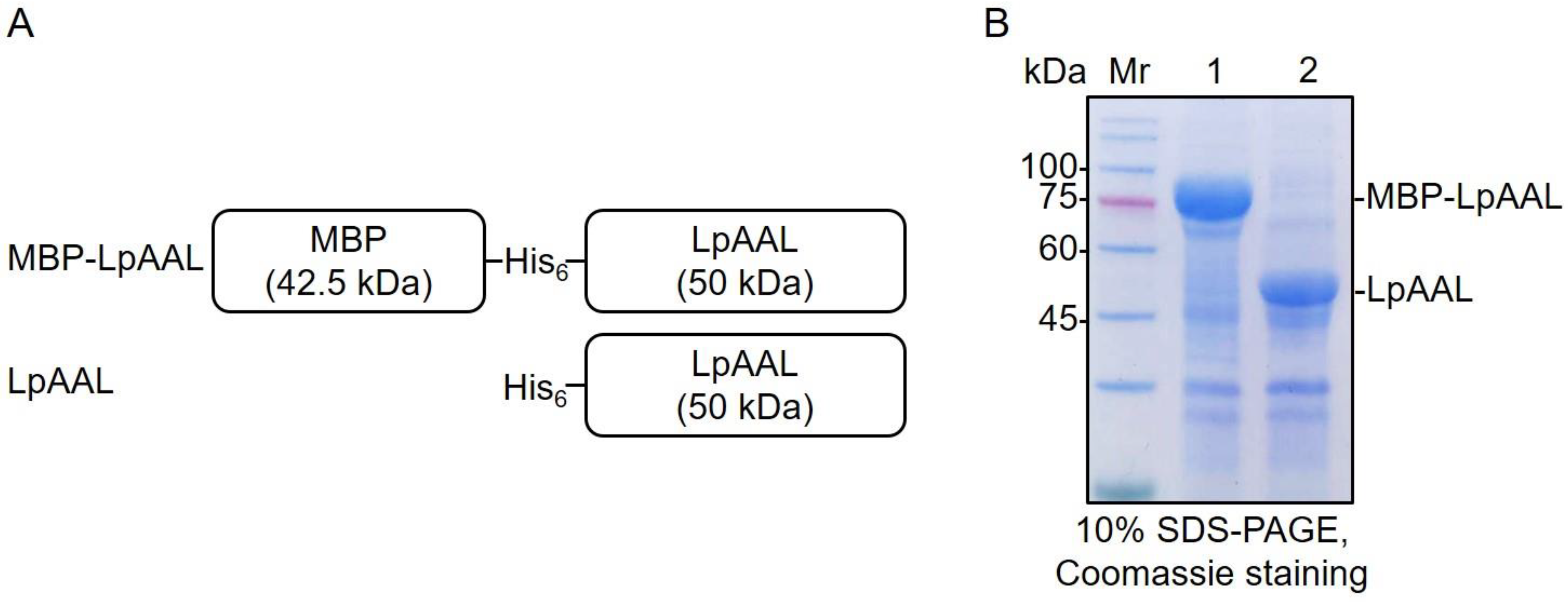 Fermentation 09 00049 g002