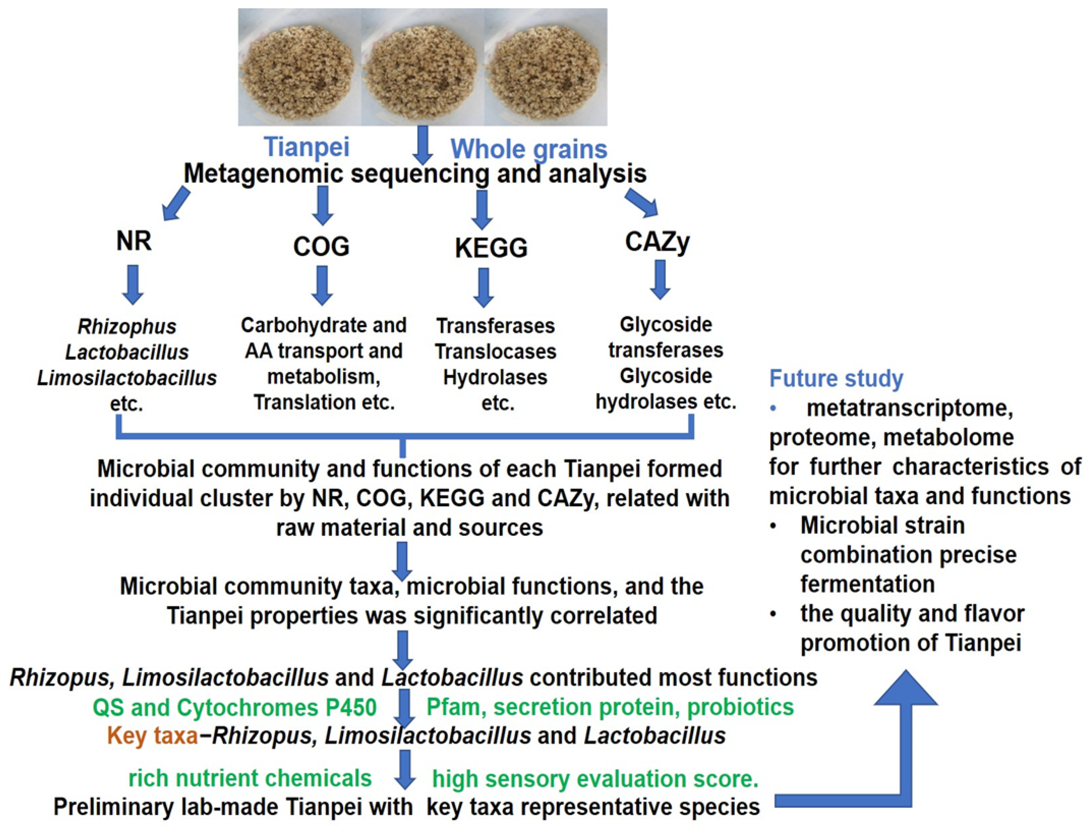 Fermentation 09 00053 g005