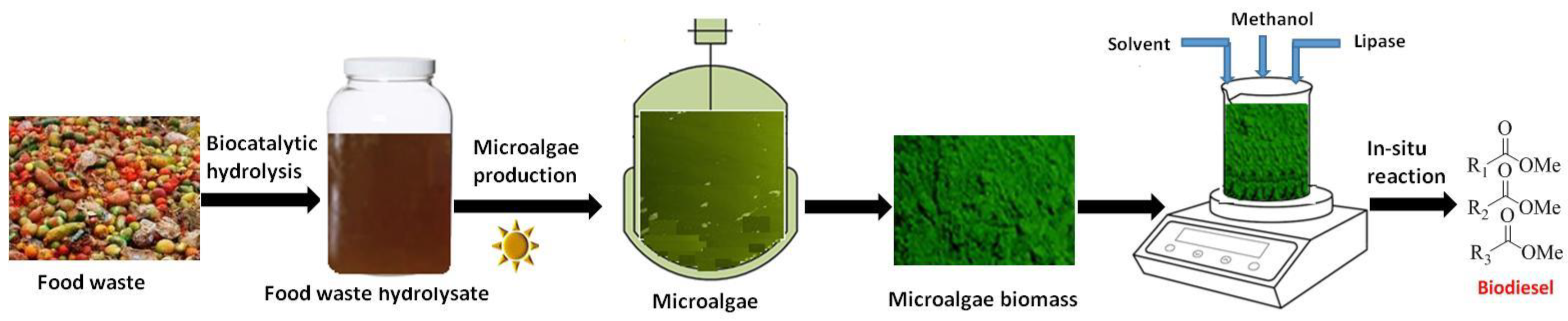 Fermentation | Free Full-Text | Moving Towards The Application Of ...