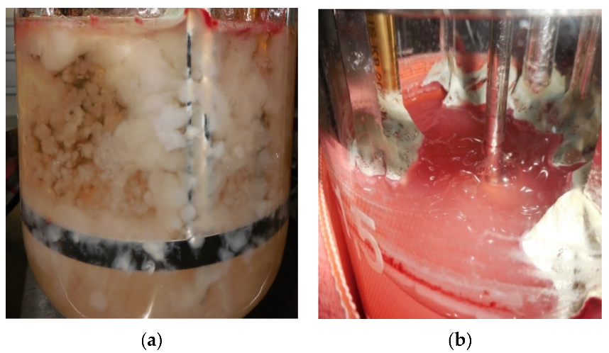 Fermentation 09 00077 g001 Fermentation 09 00077 g001