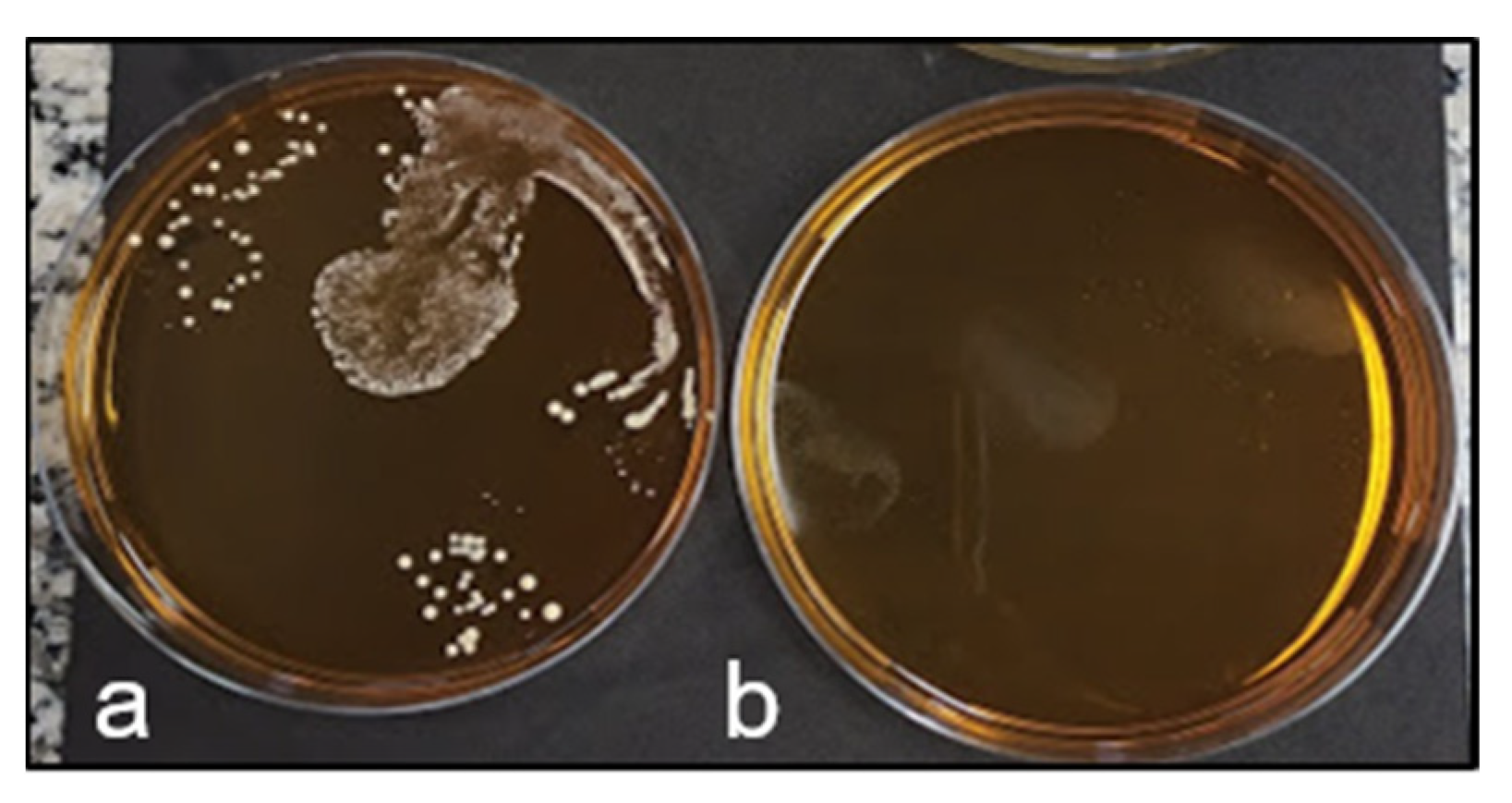 Fermentation 09 00089 g004 Fermentation 09 00089 g004