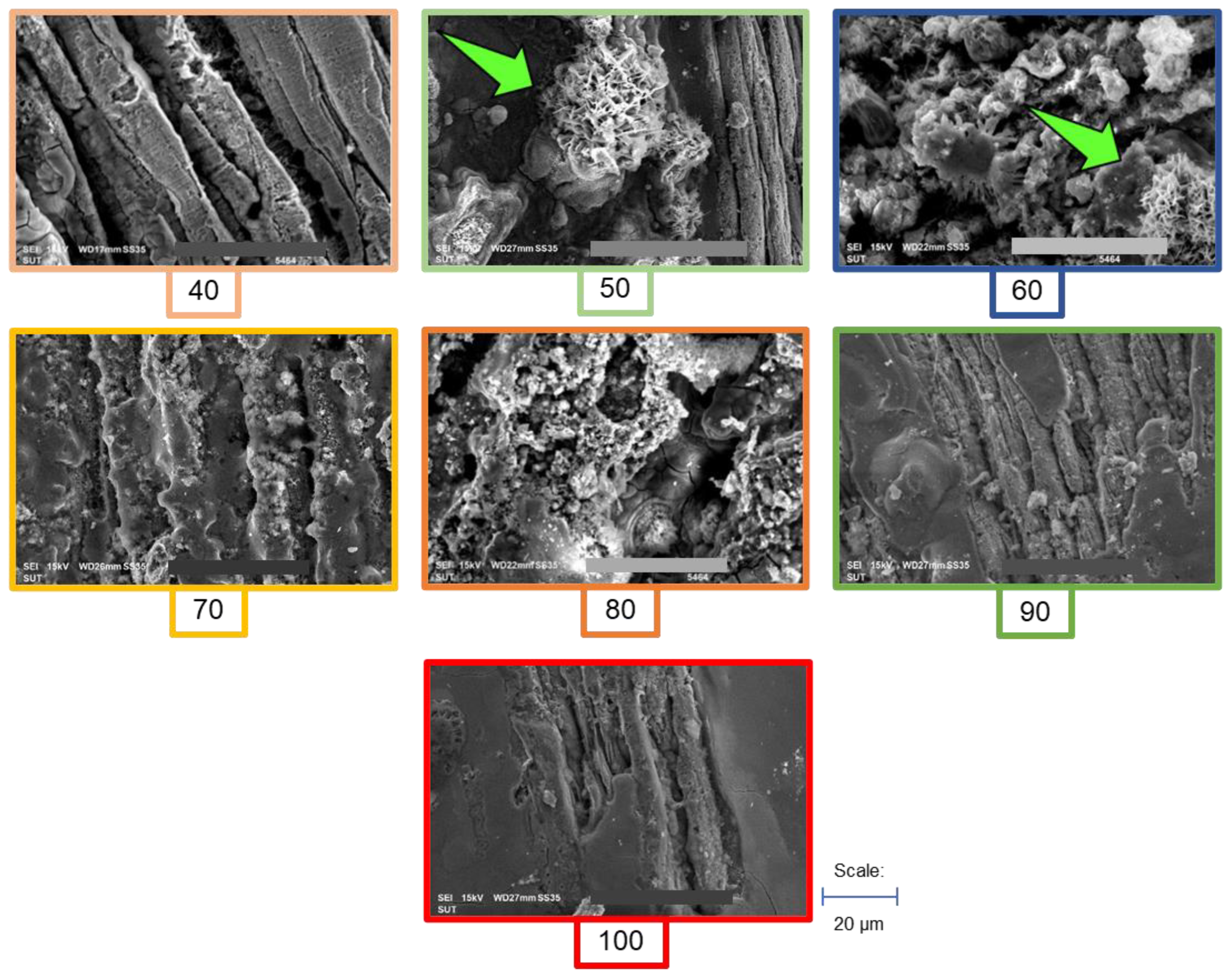 Fermentation 09 00108 g006 Fermentation 09 00108 g006