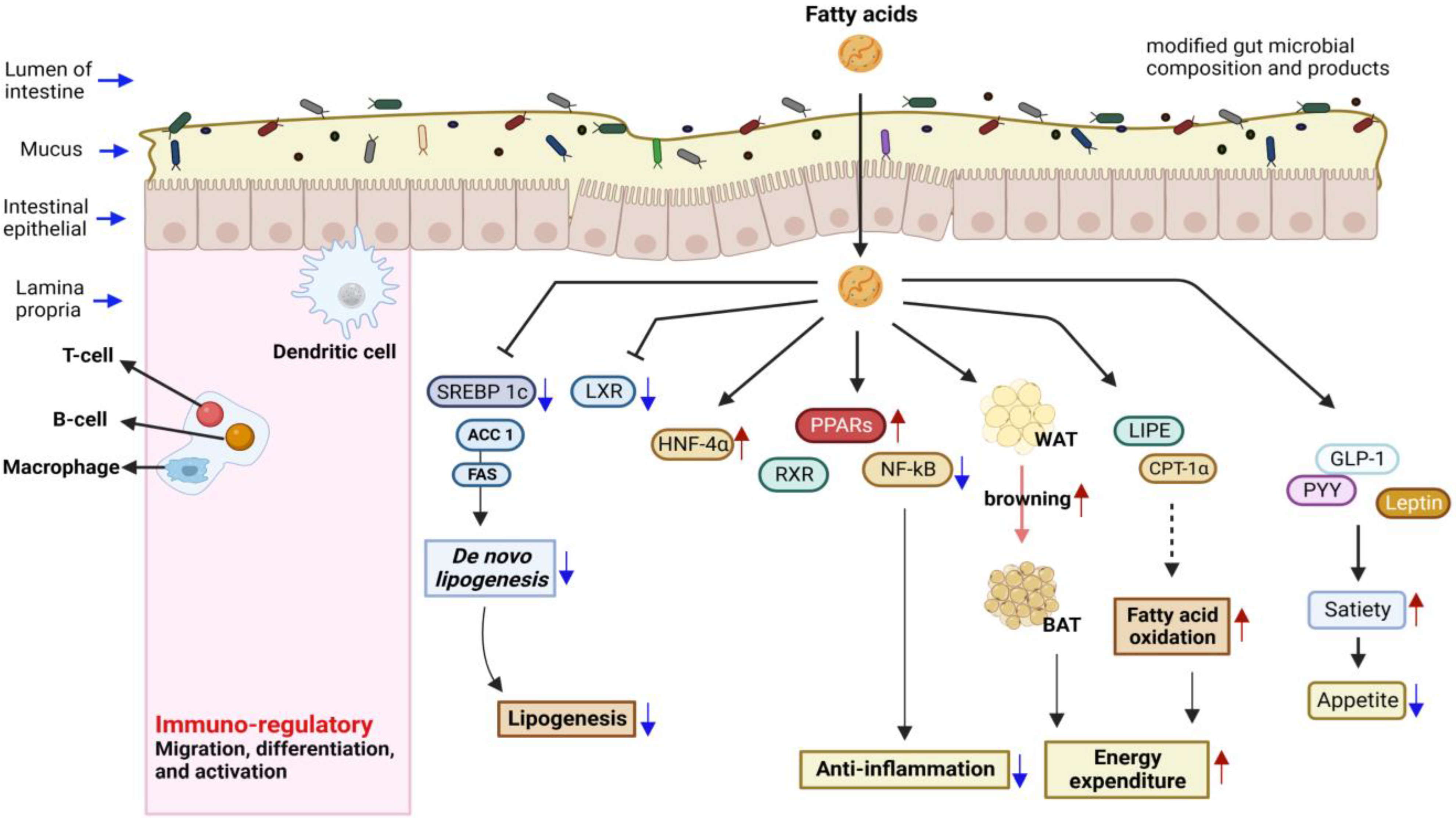 Fermentation 09 00110 g002 Fermentation 09 00110 g002