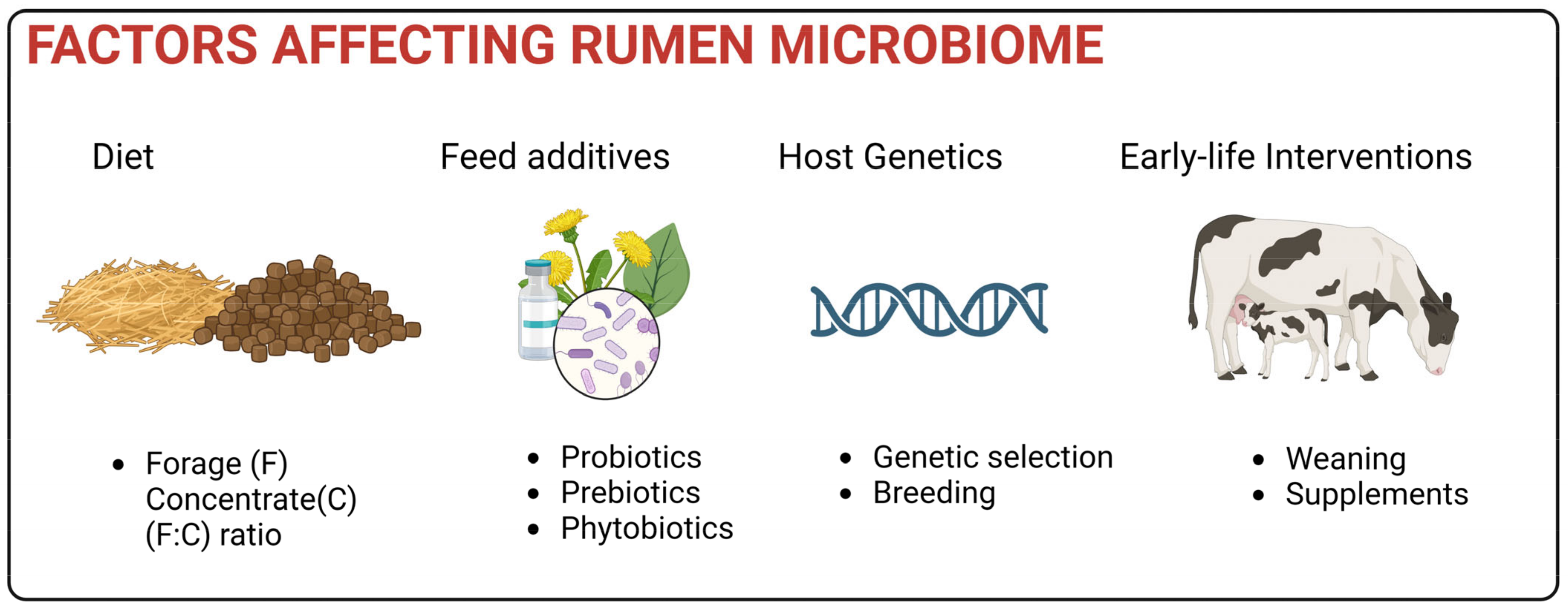 Fermentation Free FullText In Pursuit of Understanding the Rumen