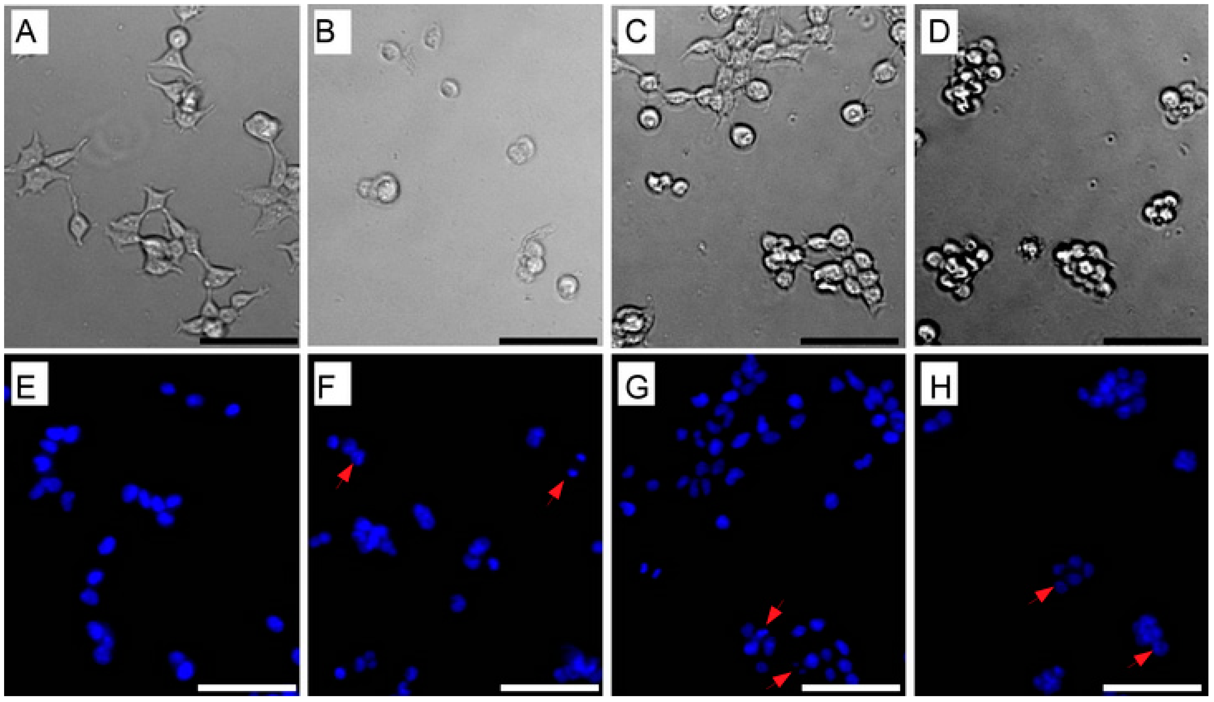Fermentation 09 00129 g003