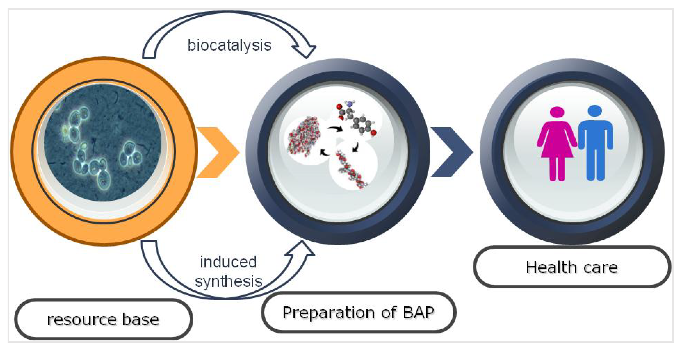 Fermentation 09 00132 g001 Fermentation 09 00132 g001