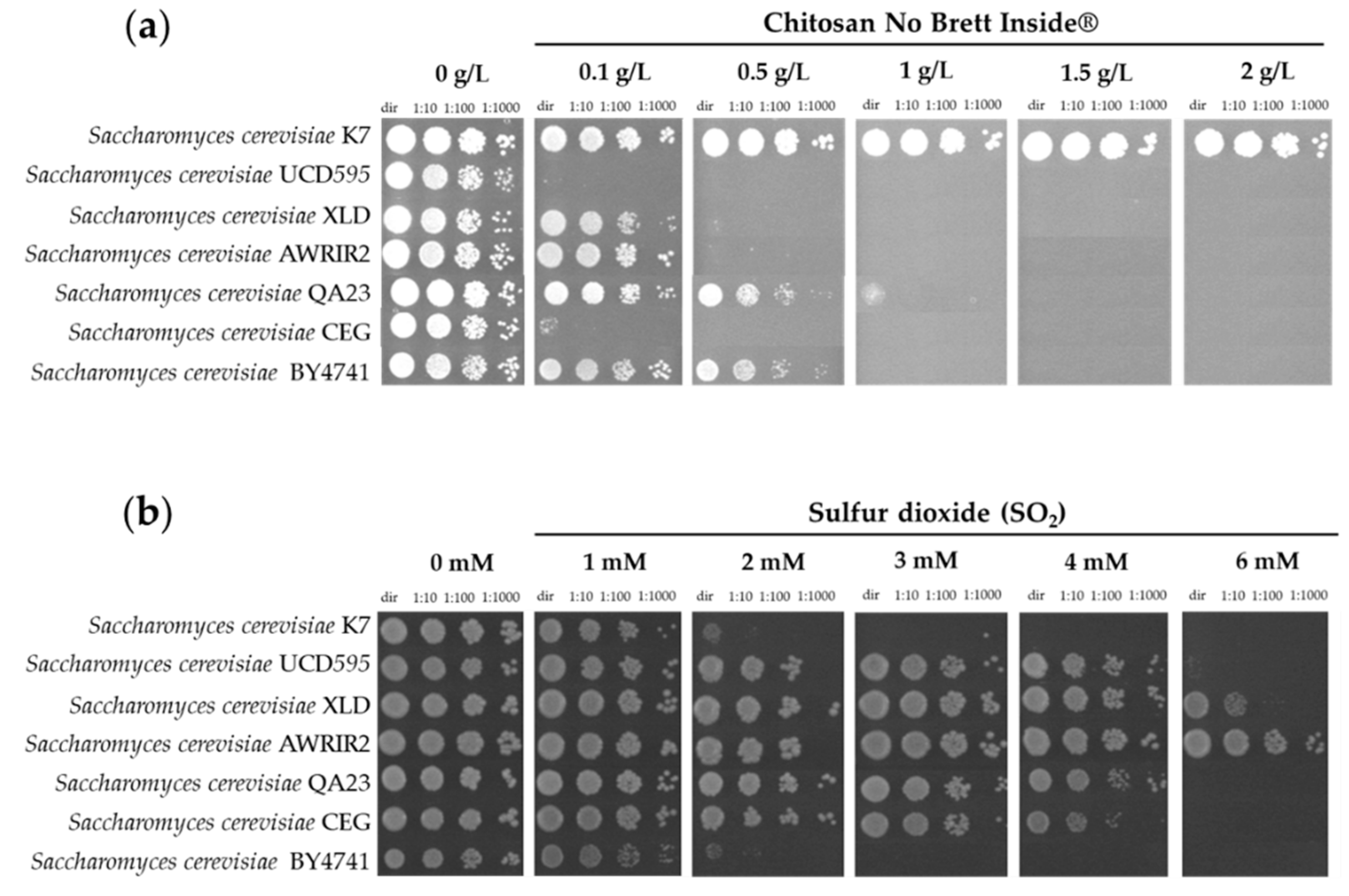 Fermentation 09 00172 g002 Fermentation 09 00172 g002