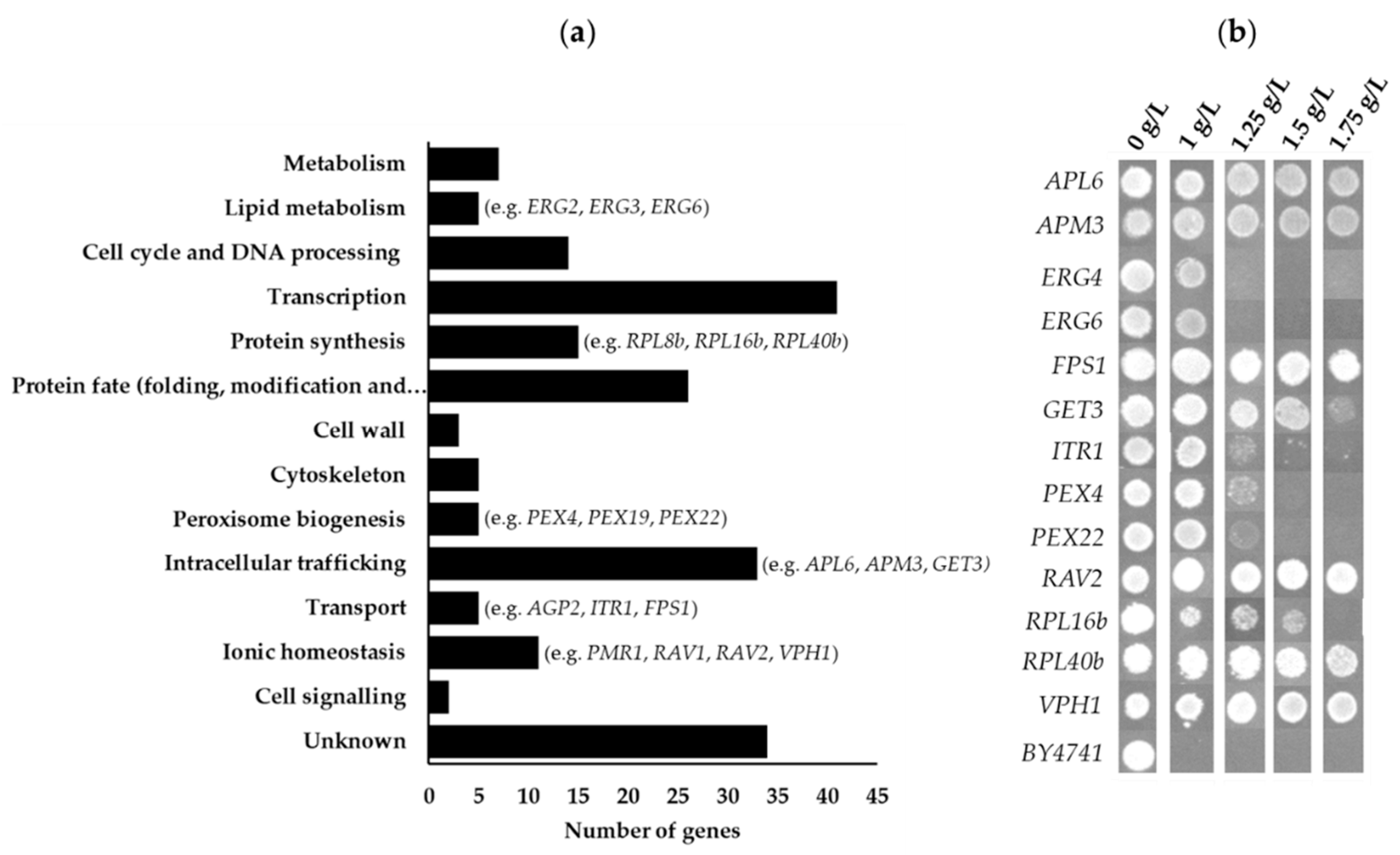 Fermentation 09 00172 g005 Fermentation 09 00172 g005