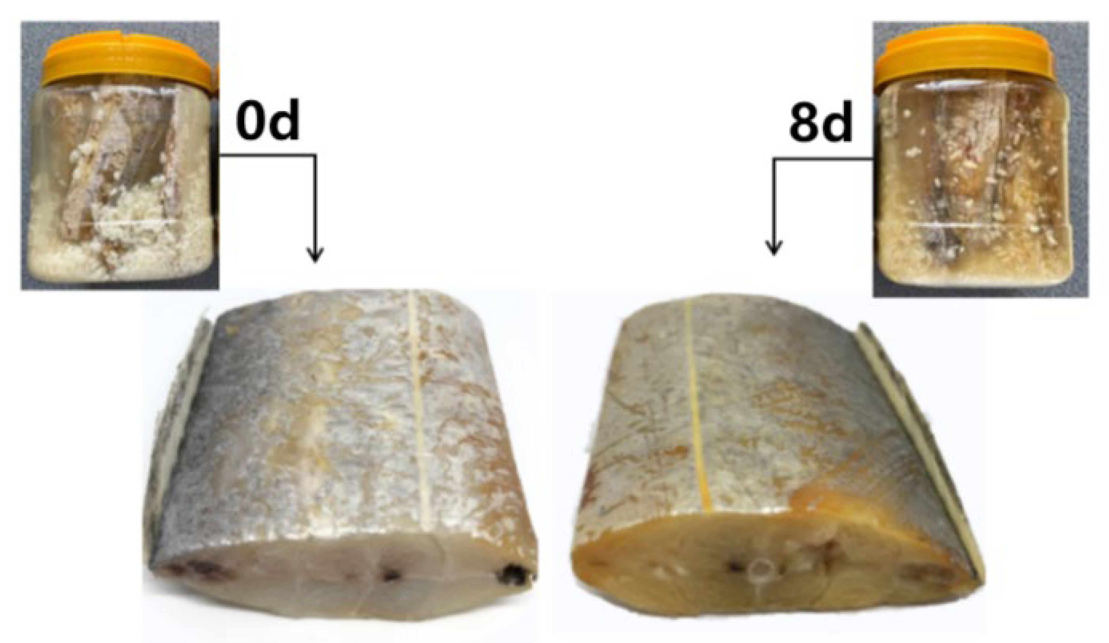 Fermentation 09 00173 g002