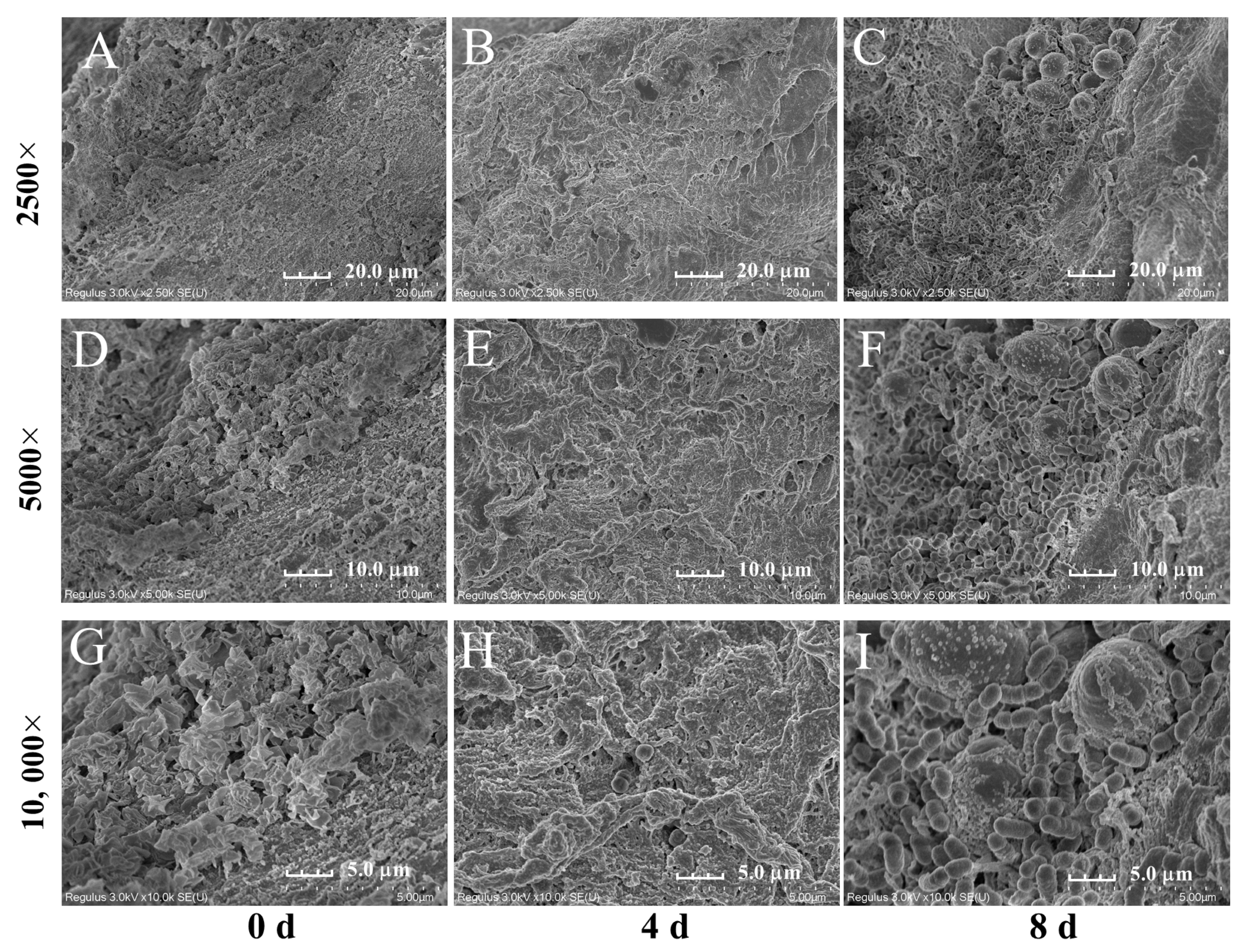 Fermentation 09 00173 g003