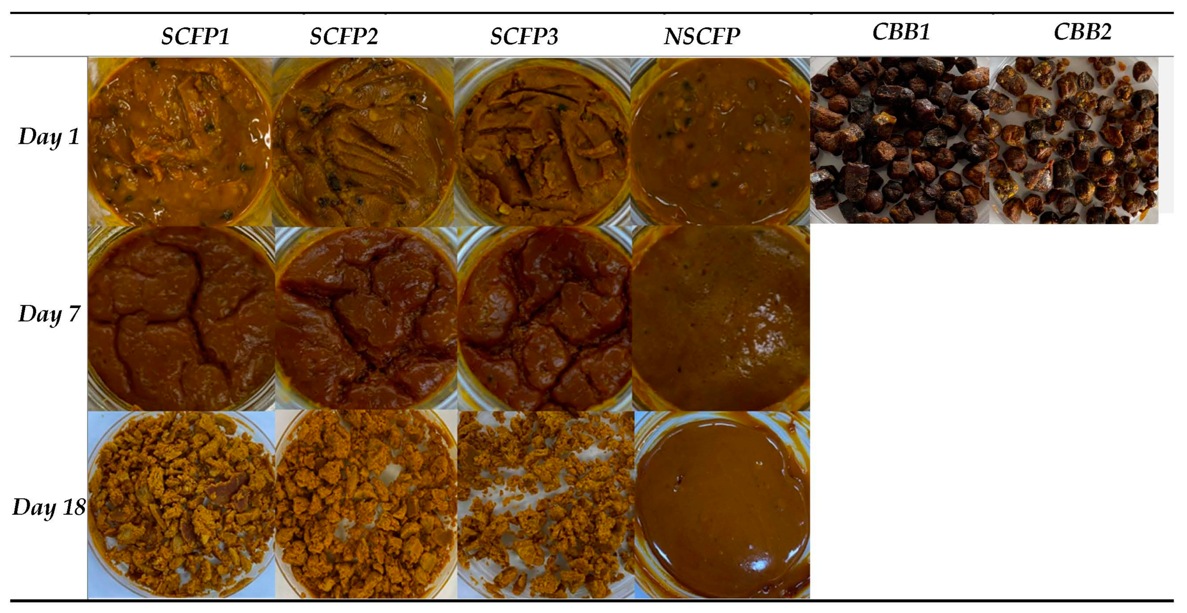 Fermentation 09 00174 g001