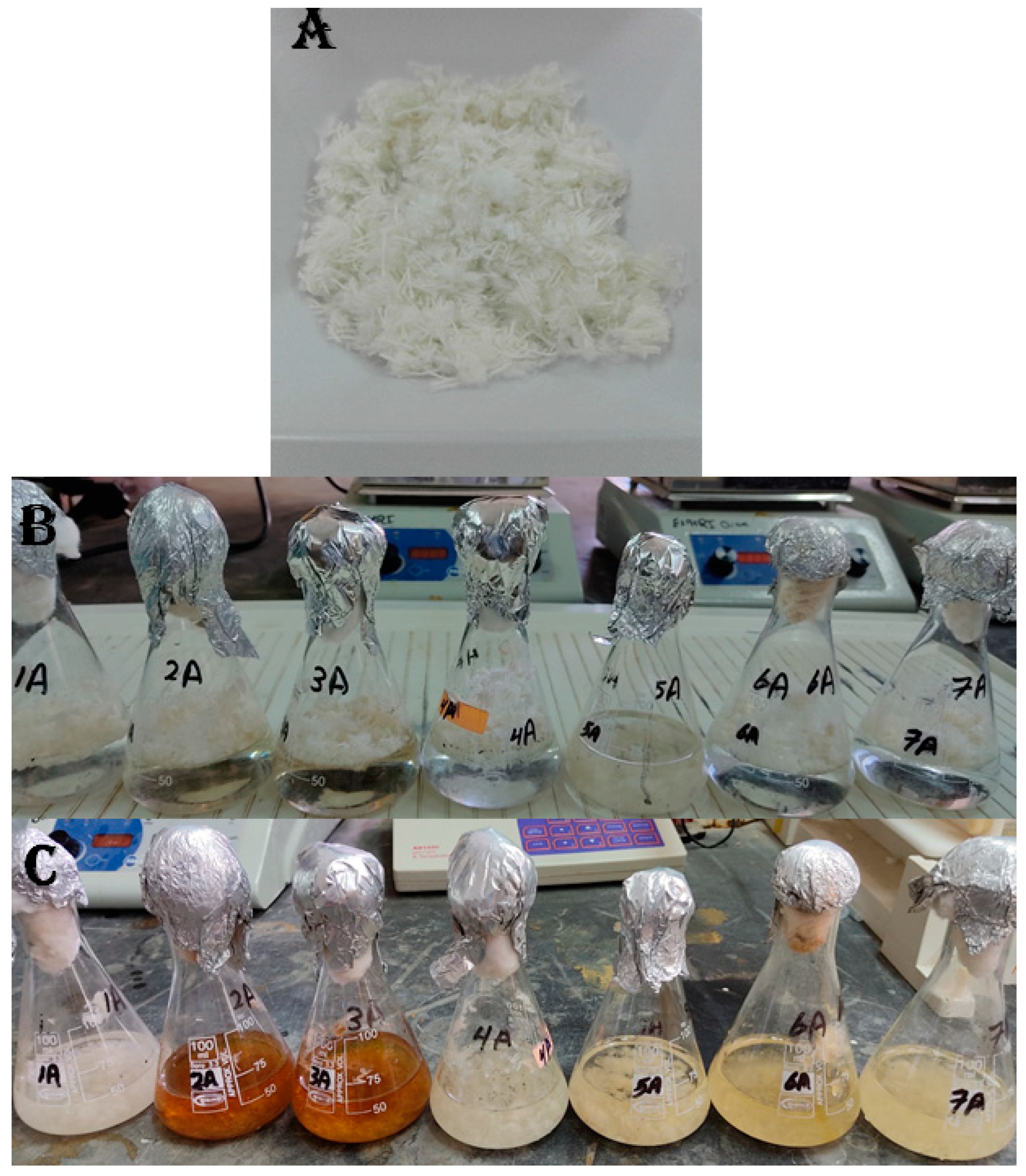 Fermentation 09 00176 g001