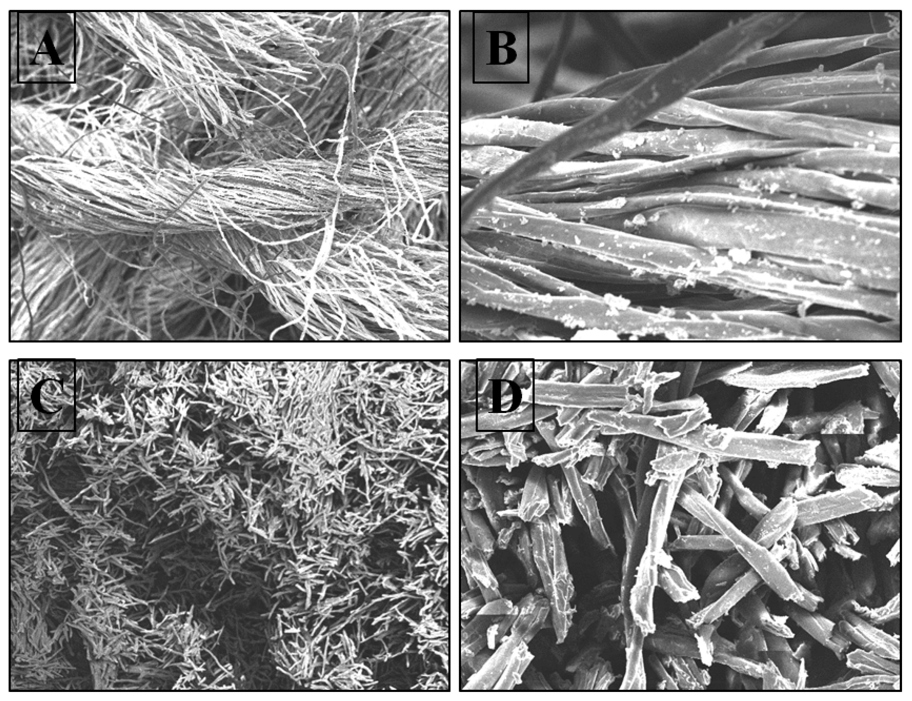 Fermentation 09 00176 g006