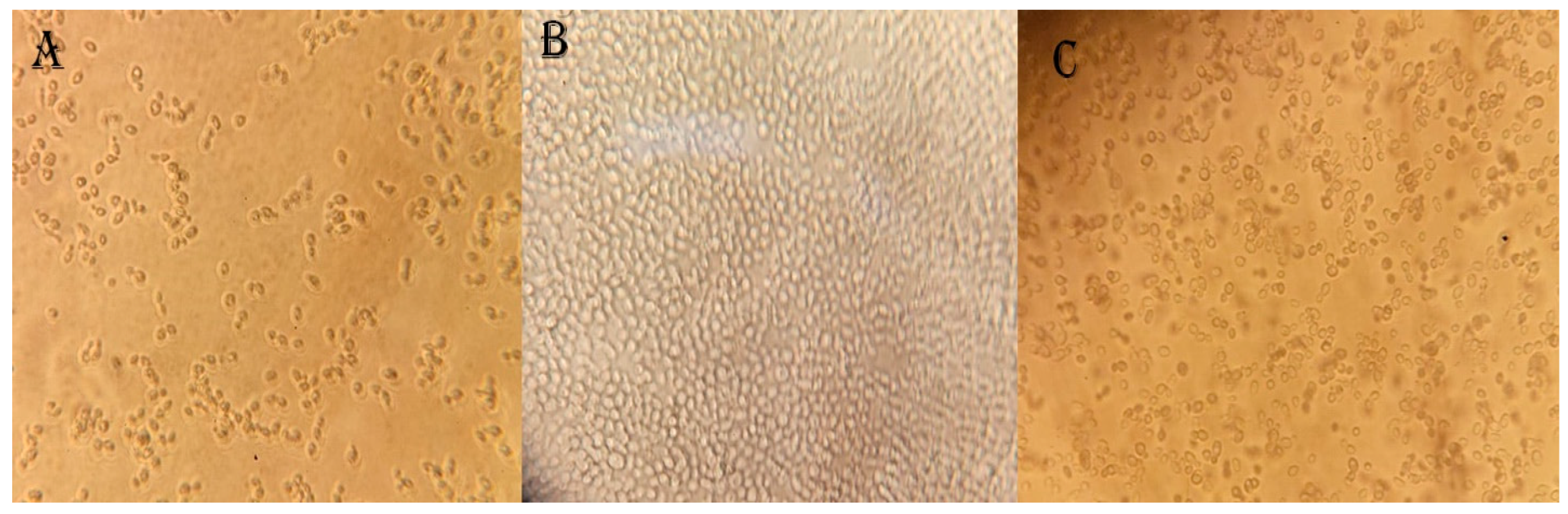 Fermentation 09 00176 g008
