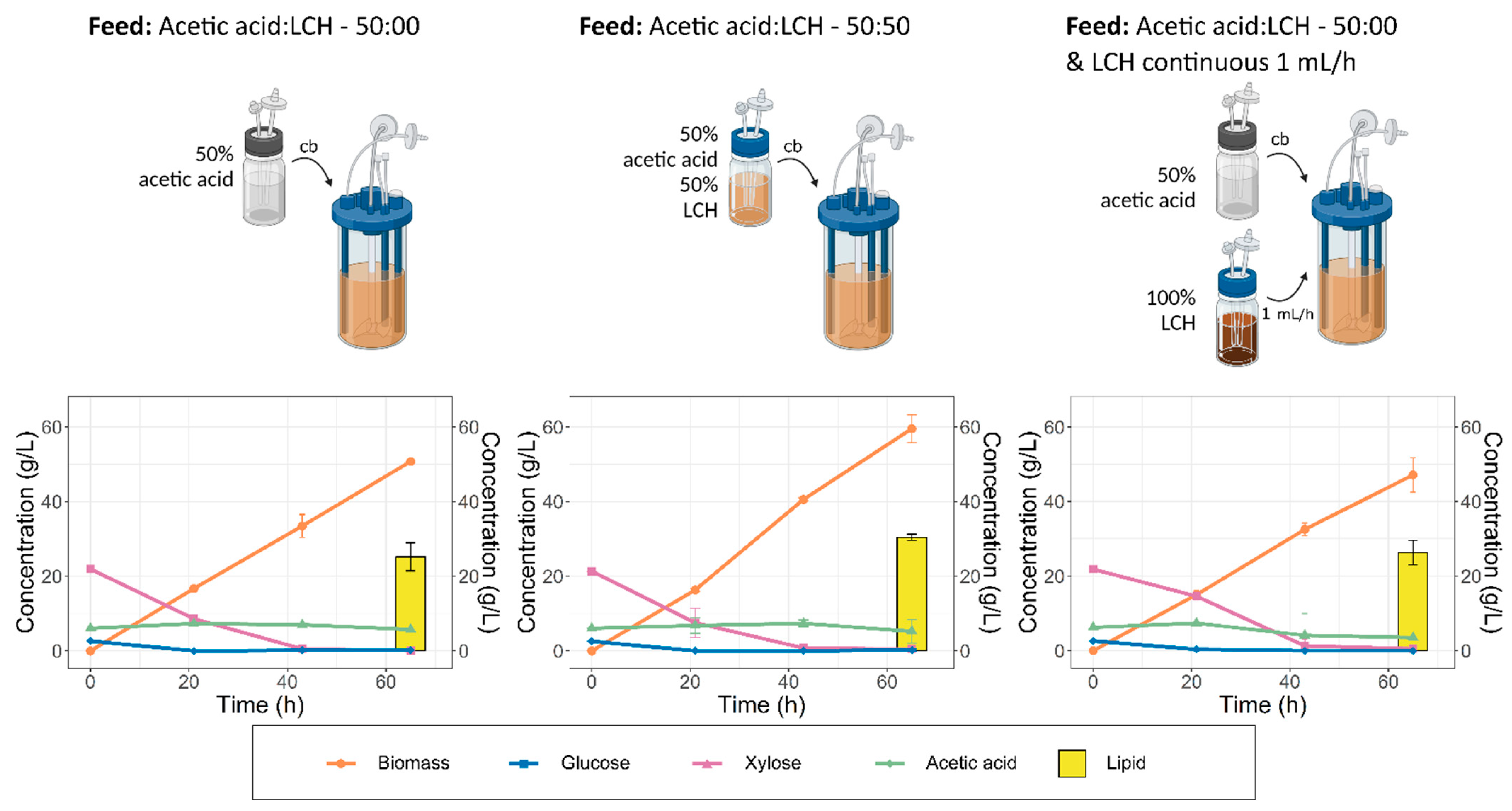 Fermentation 09 00189 g003 Fermentation 09 00189 g003