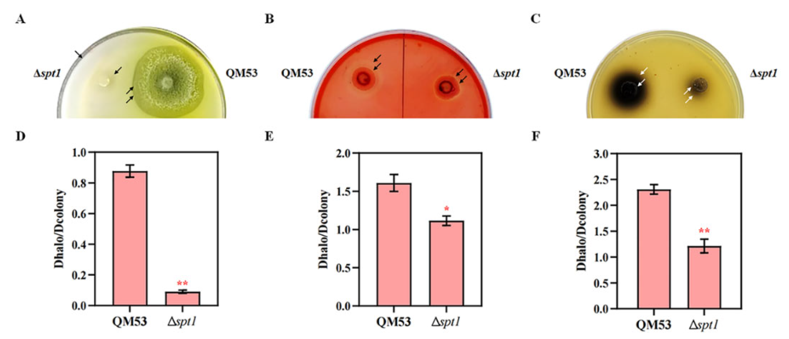 Fermentation 09 00191 g004 Fermentation 09 00191 g004