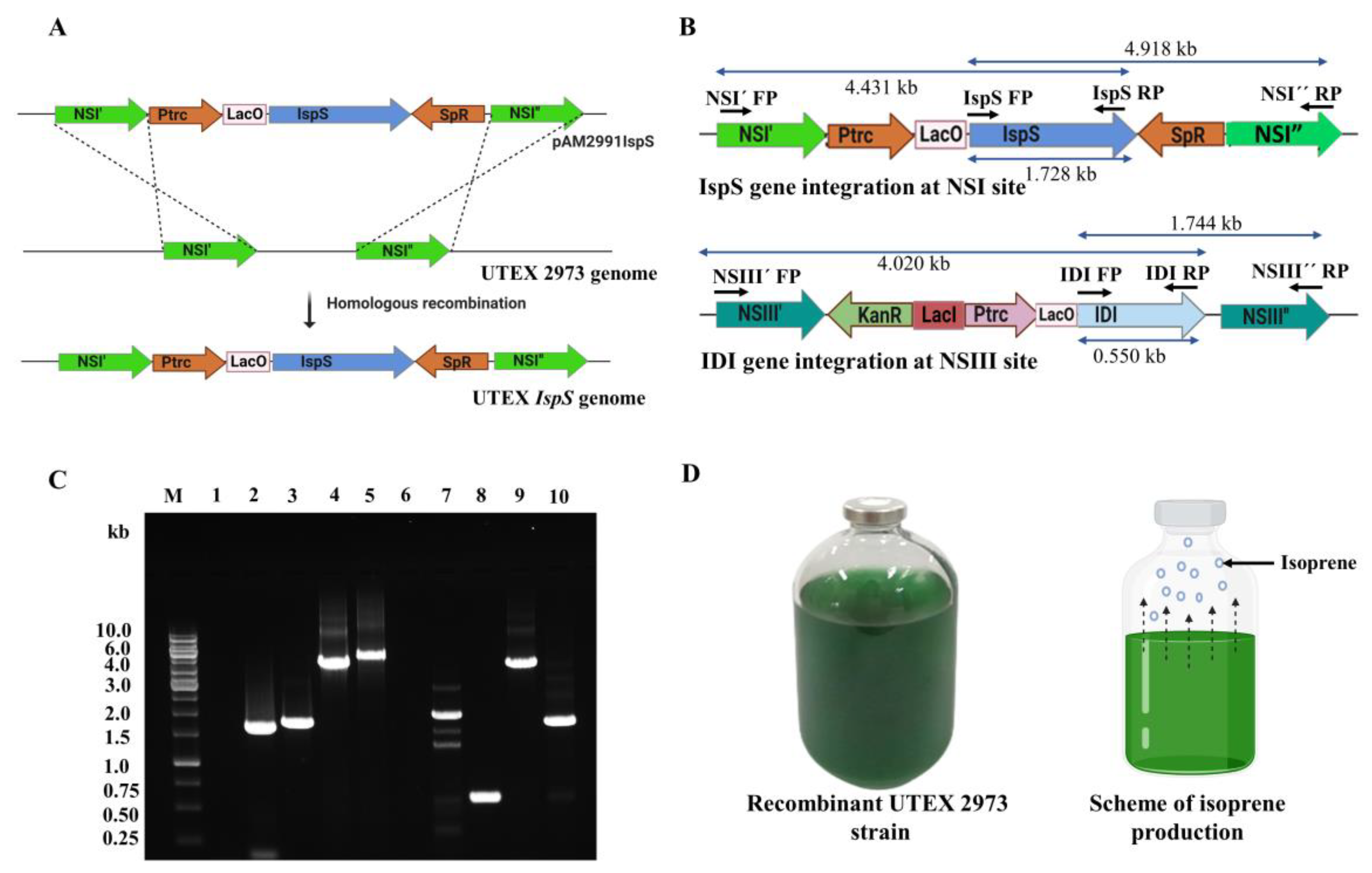 Fermentation 09 00217 g002 Fermentation 09 00217 g002