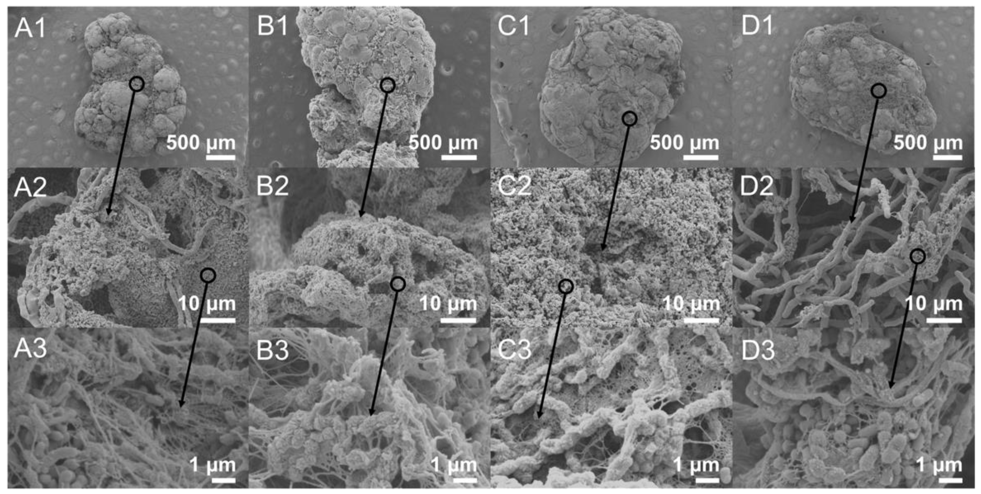 Fermentation 09 00224 g004 Fermentation 09 00224 g004
