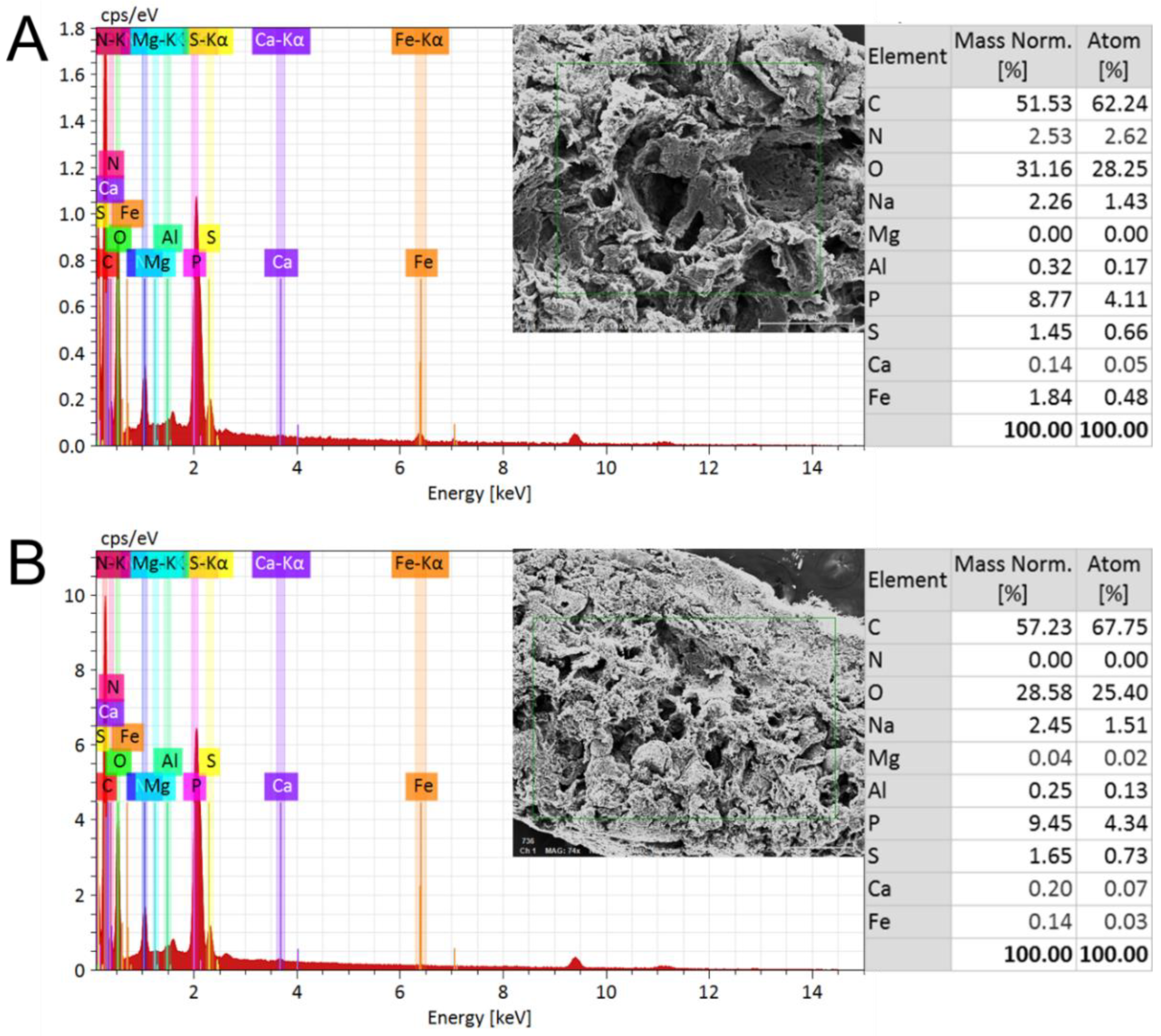 Fermentation 09 00224 g005 Fermentation 09 00224 g005
