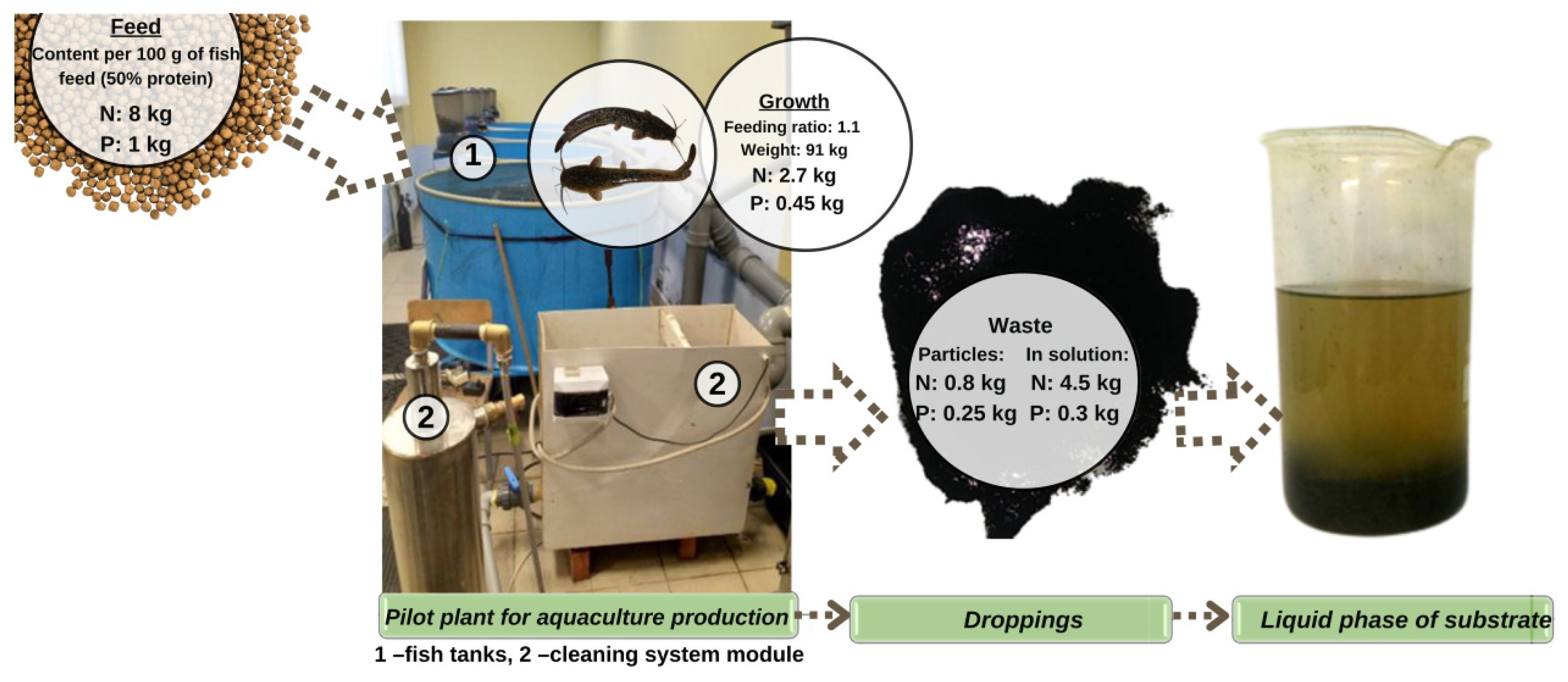 Fermentation 09 00225 g001