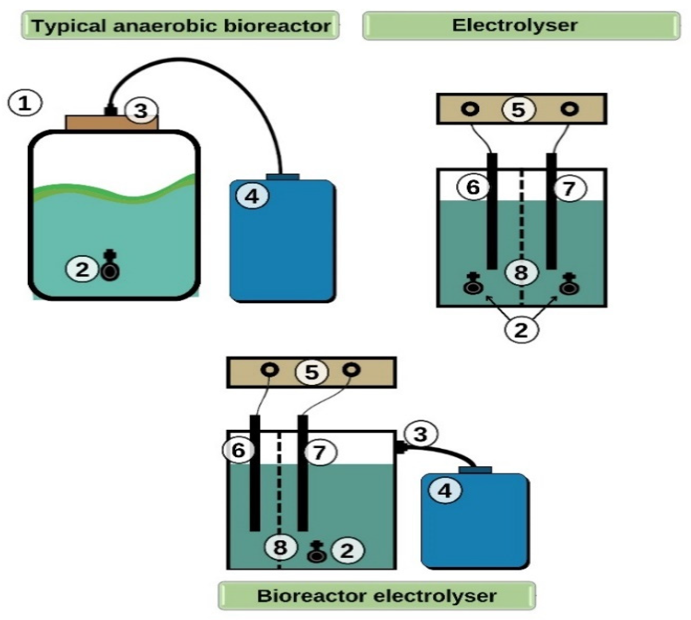 Fermentation 09 00225 g002