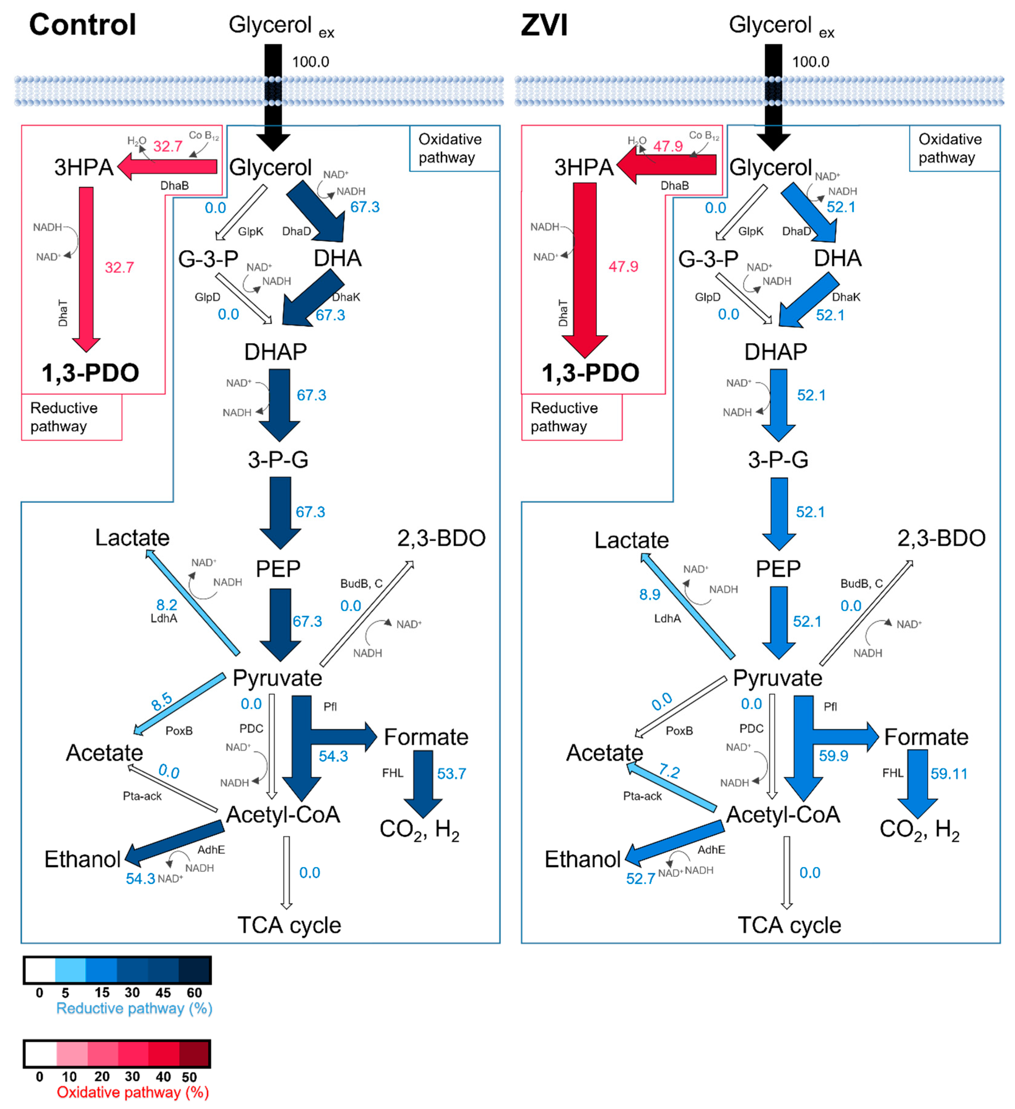 Fermentation 09 00233 g002 Fermentation 09 00233 g002