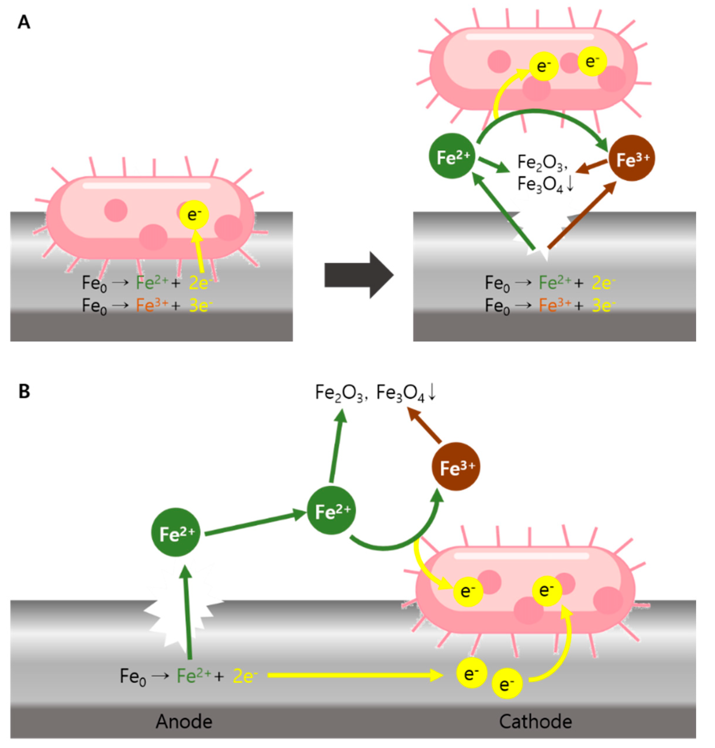 Fermentation 09 00233 g008 Fermentation 09 00233 g008