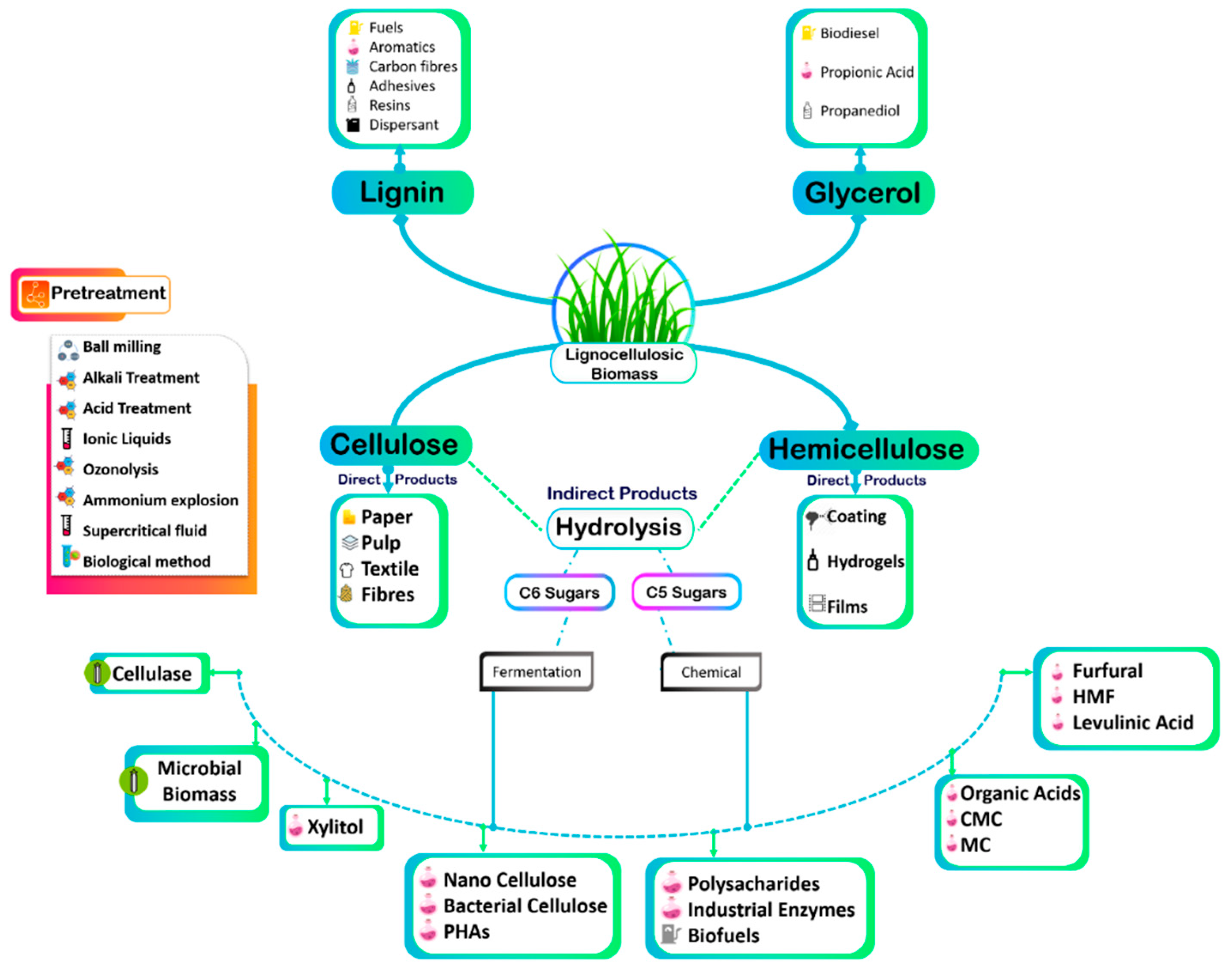 Fermentation 09 00238 g002 Fermentation 09 00238 g002